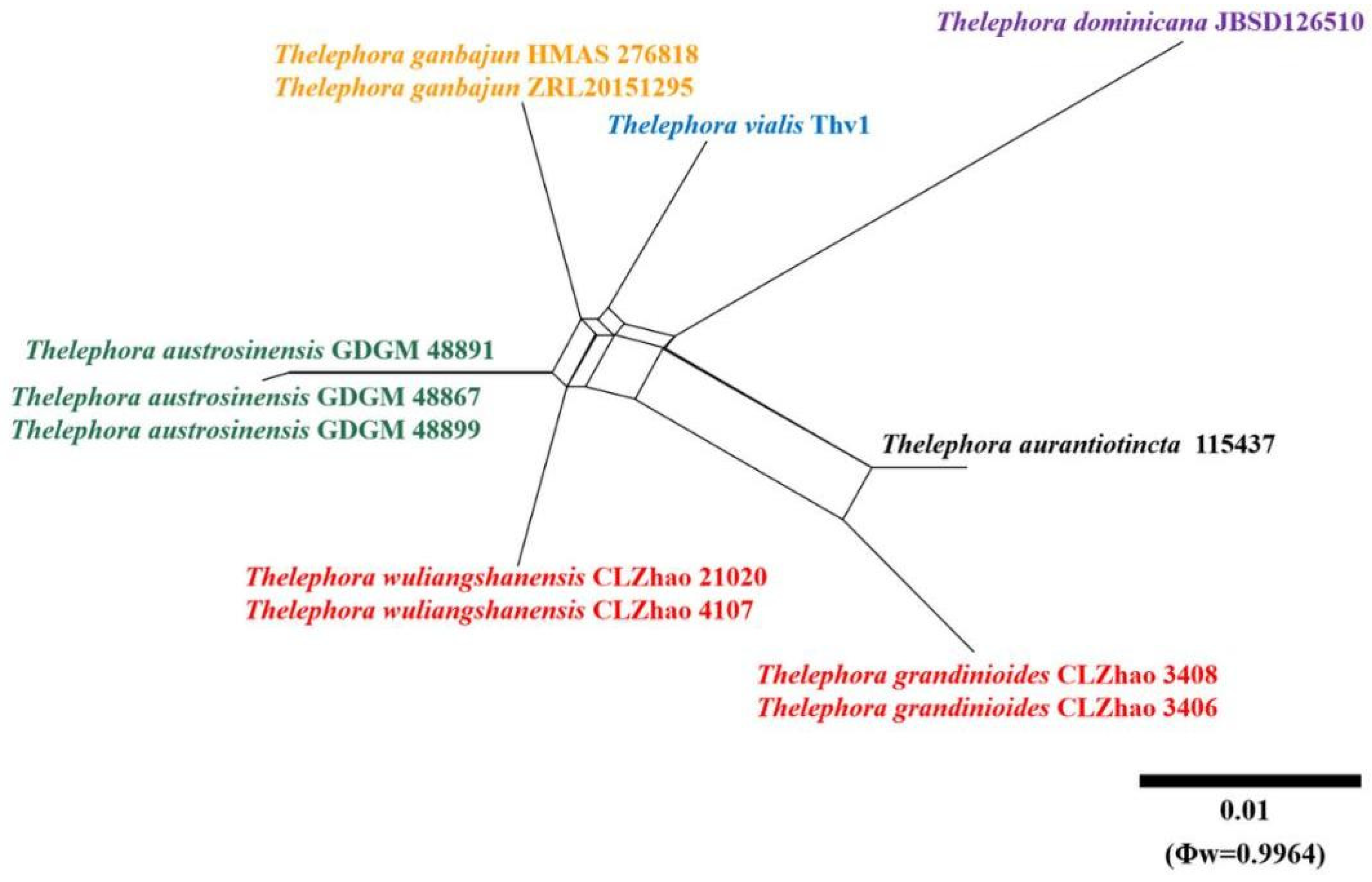 Diversity 13 00646 g006