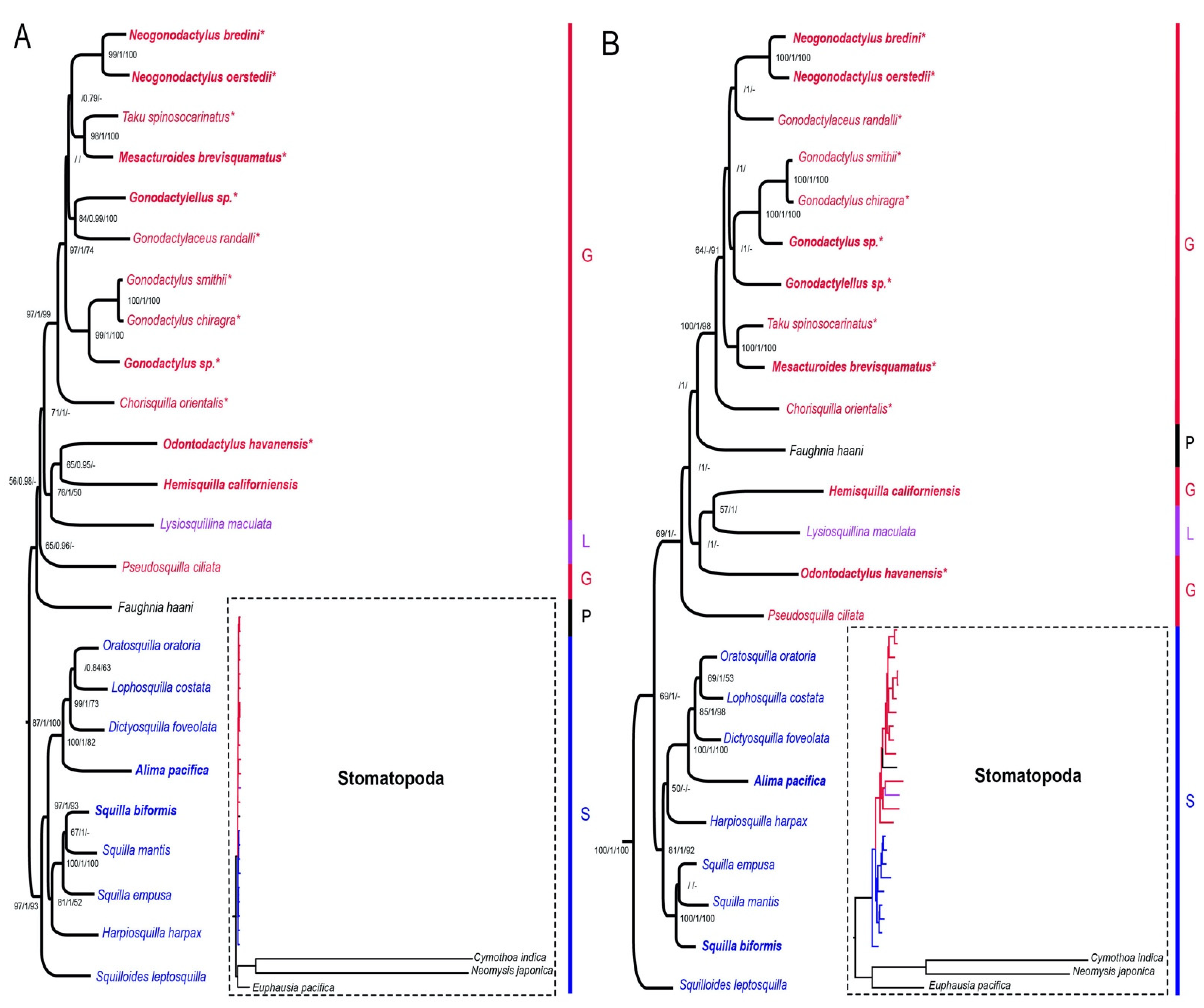 Diversity 13 00647 g003