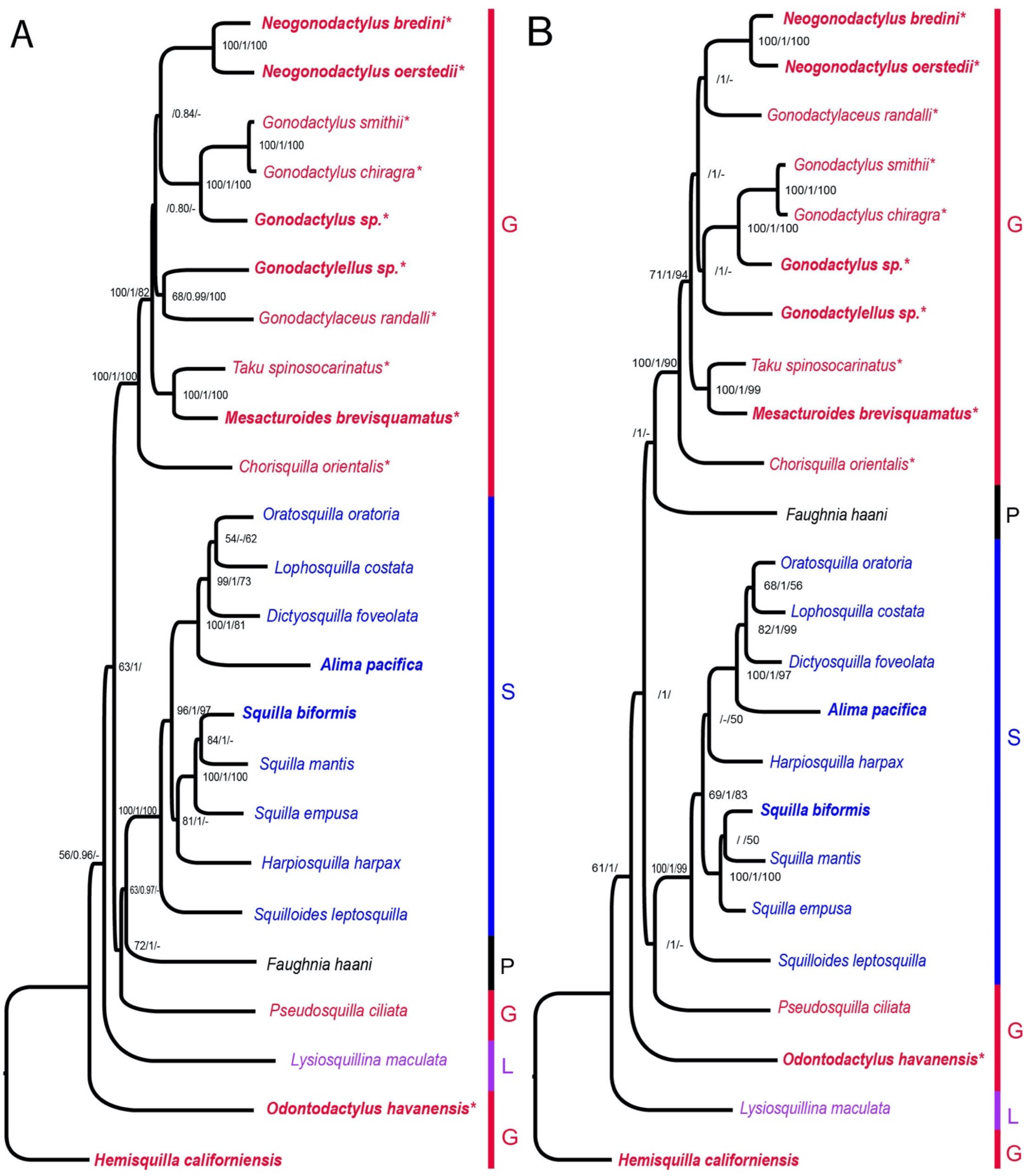 Diversity 13 00647 g004