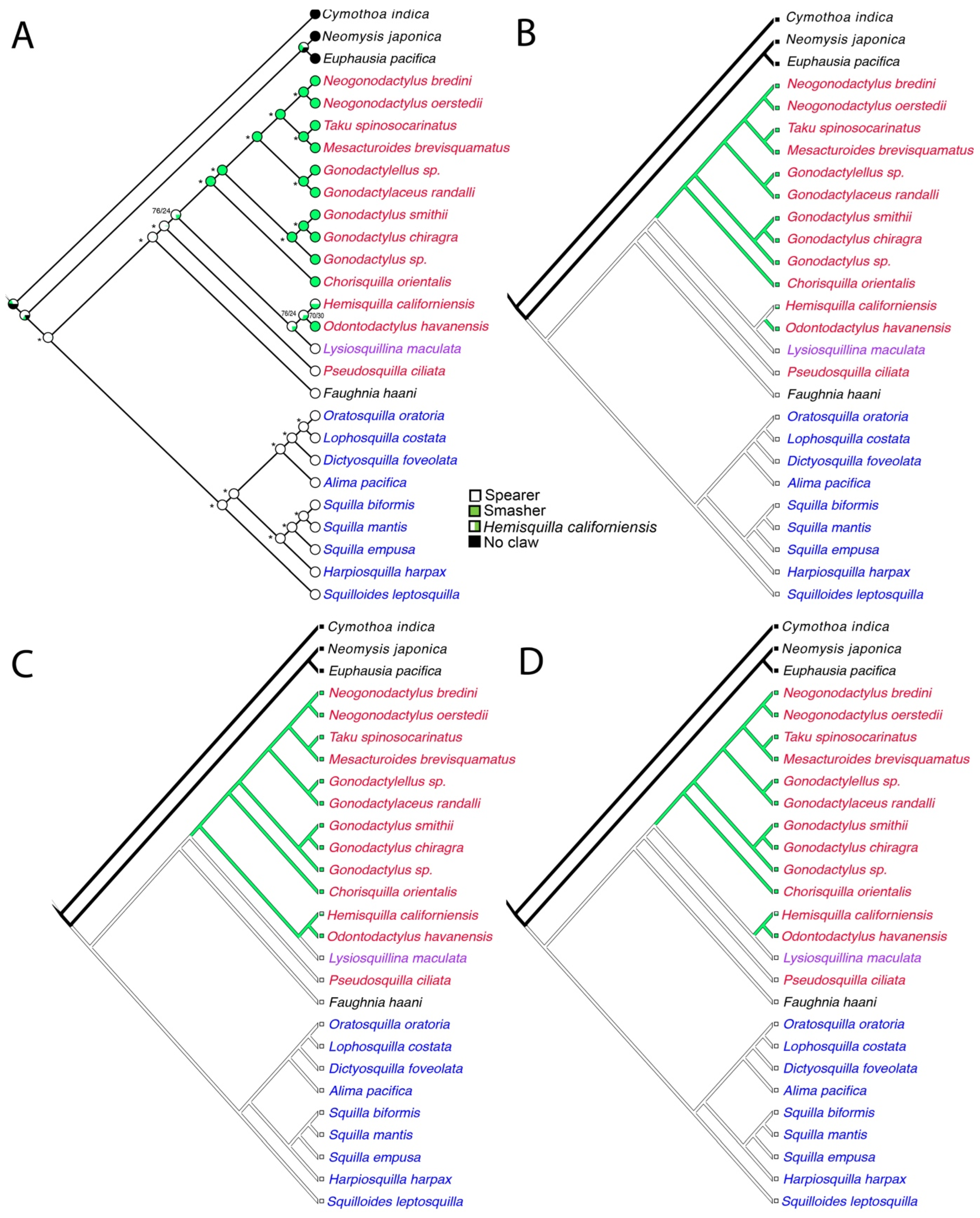 Diversity 13 00647 g005
