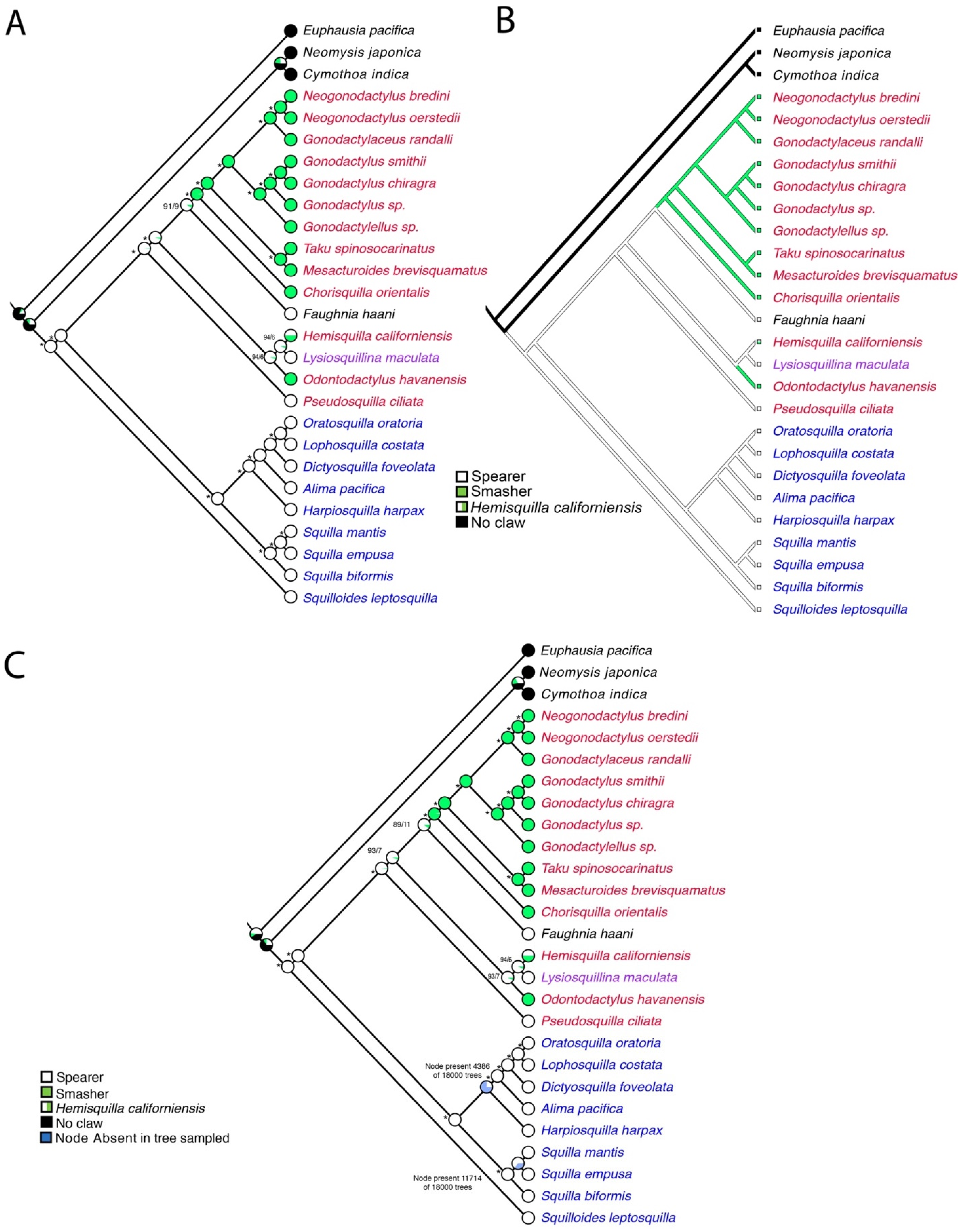 Diversity 13 00647 g006