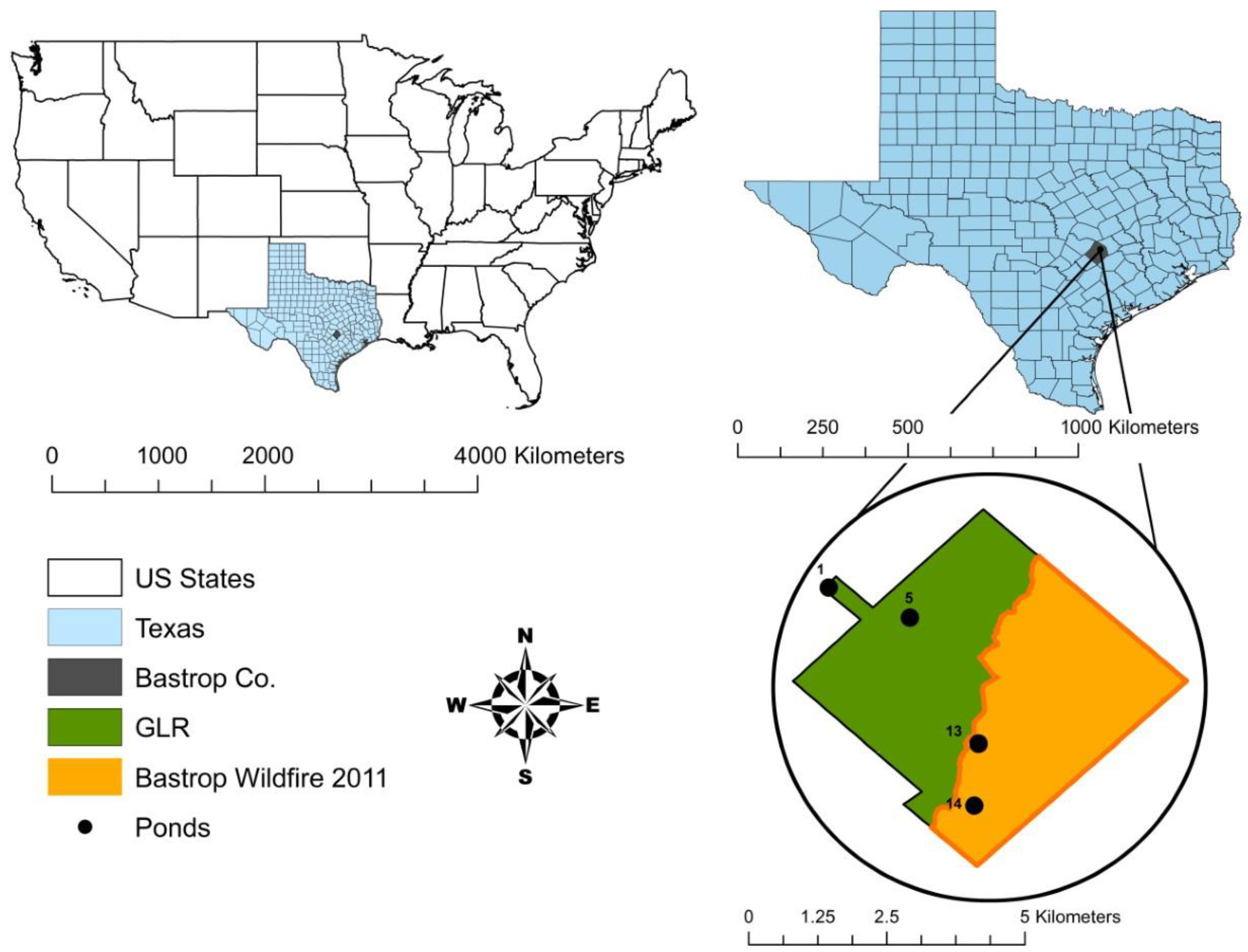 Diversity 13 00649 g002