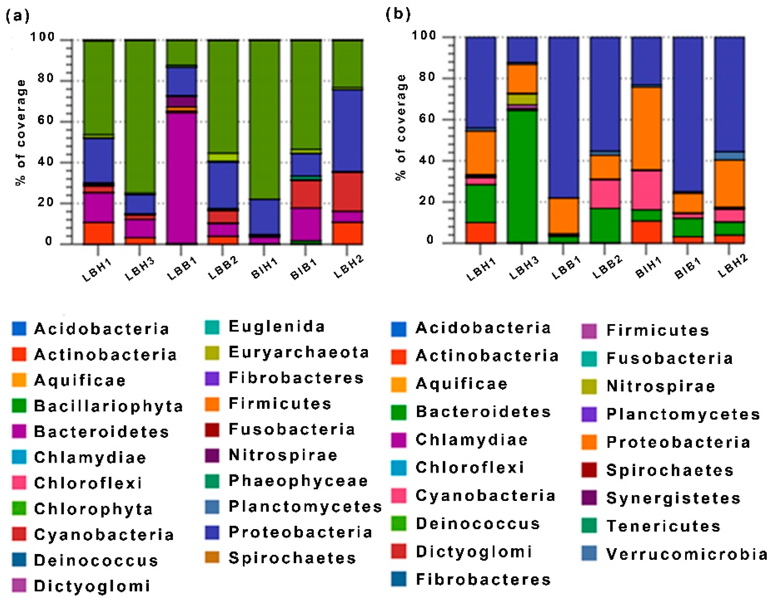Diversity 13 00653 g001
