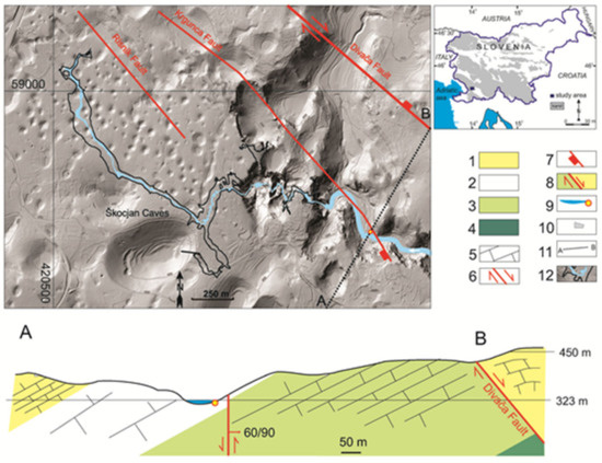 Diversity 13 00655 g002 550