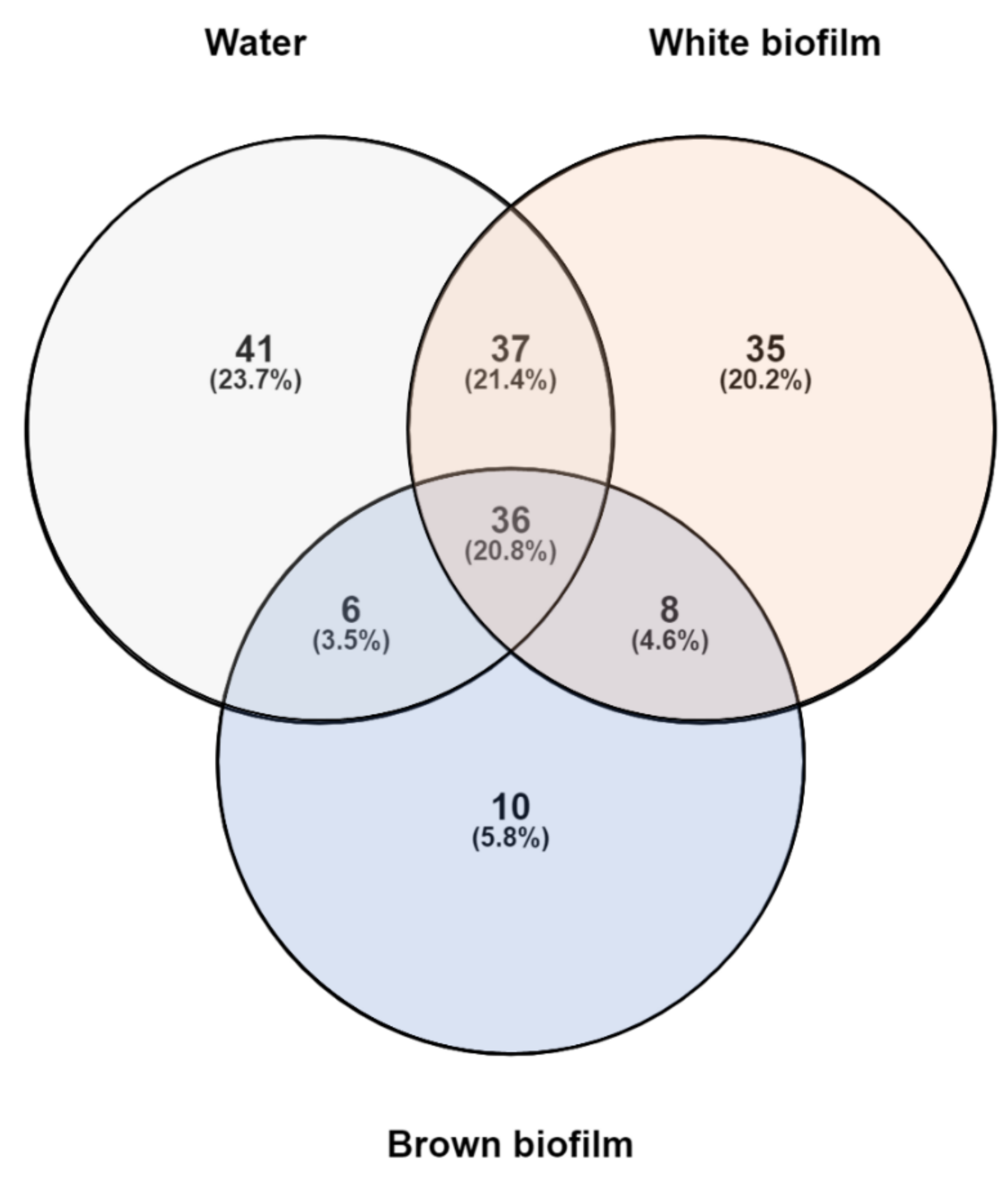 Diversity 13 00655 g005