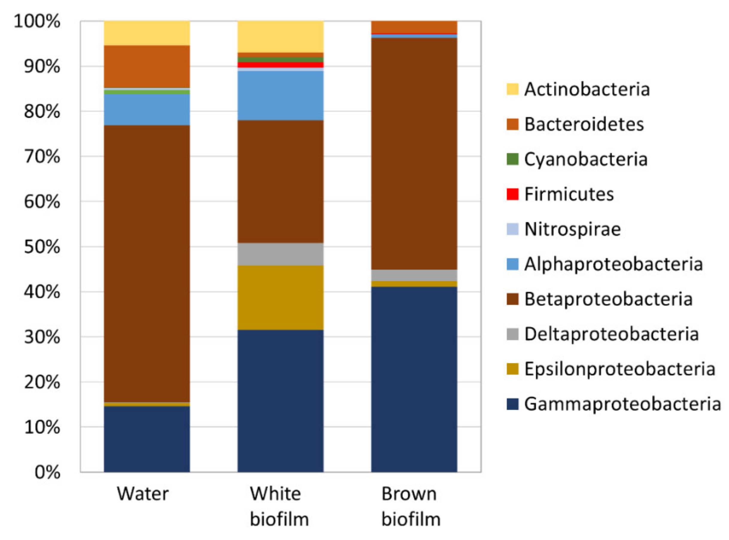 Diversity 13 00655 g006