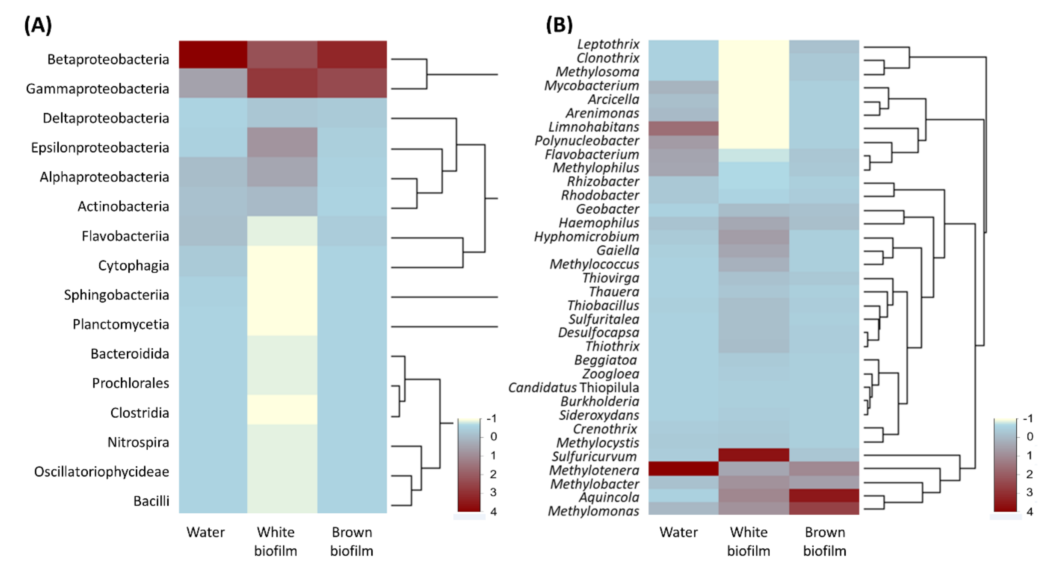 Diversity 13 00655 g007