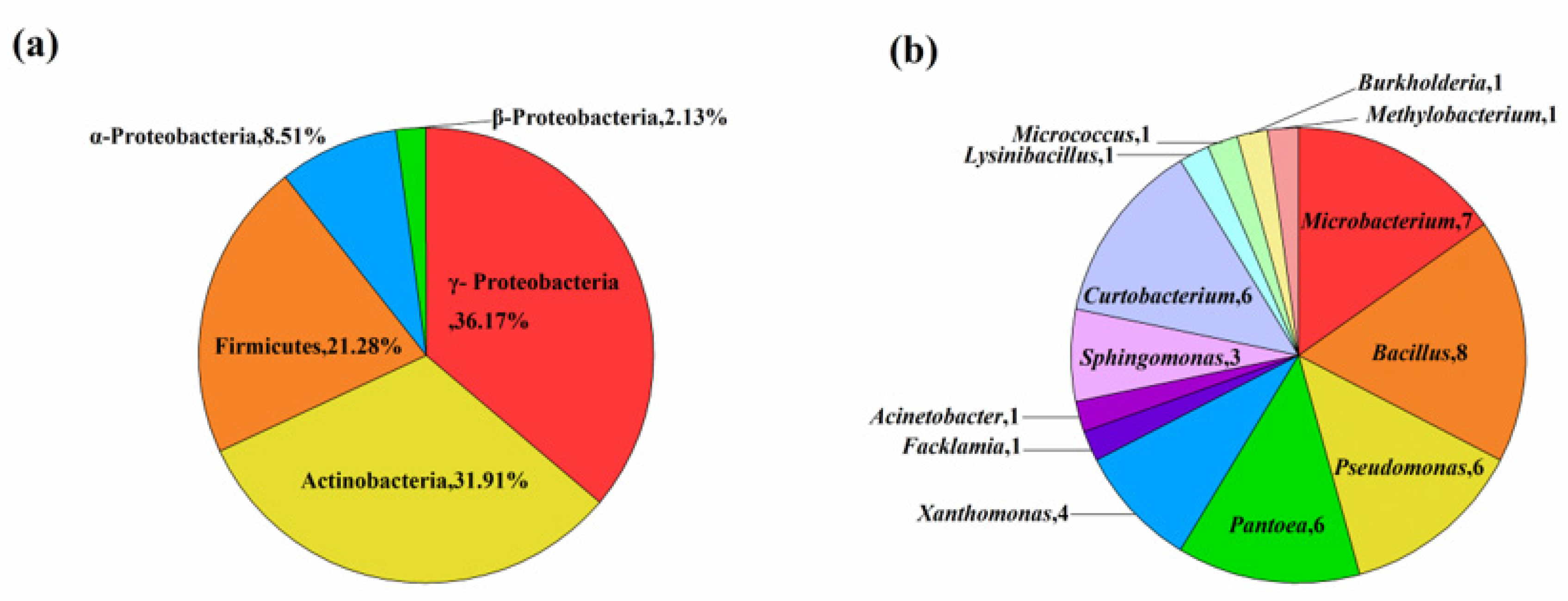 Diversity 13 00665 g001