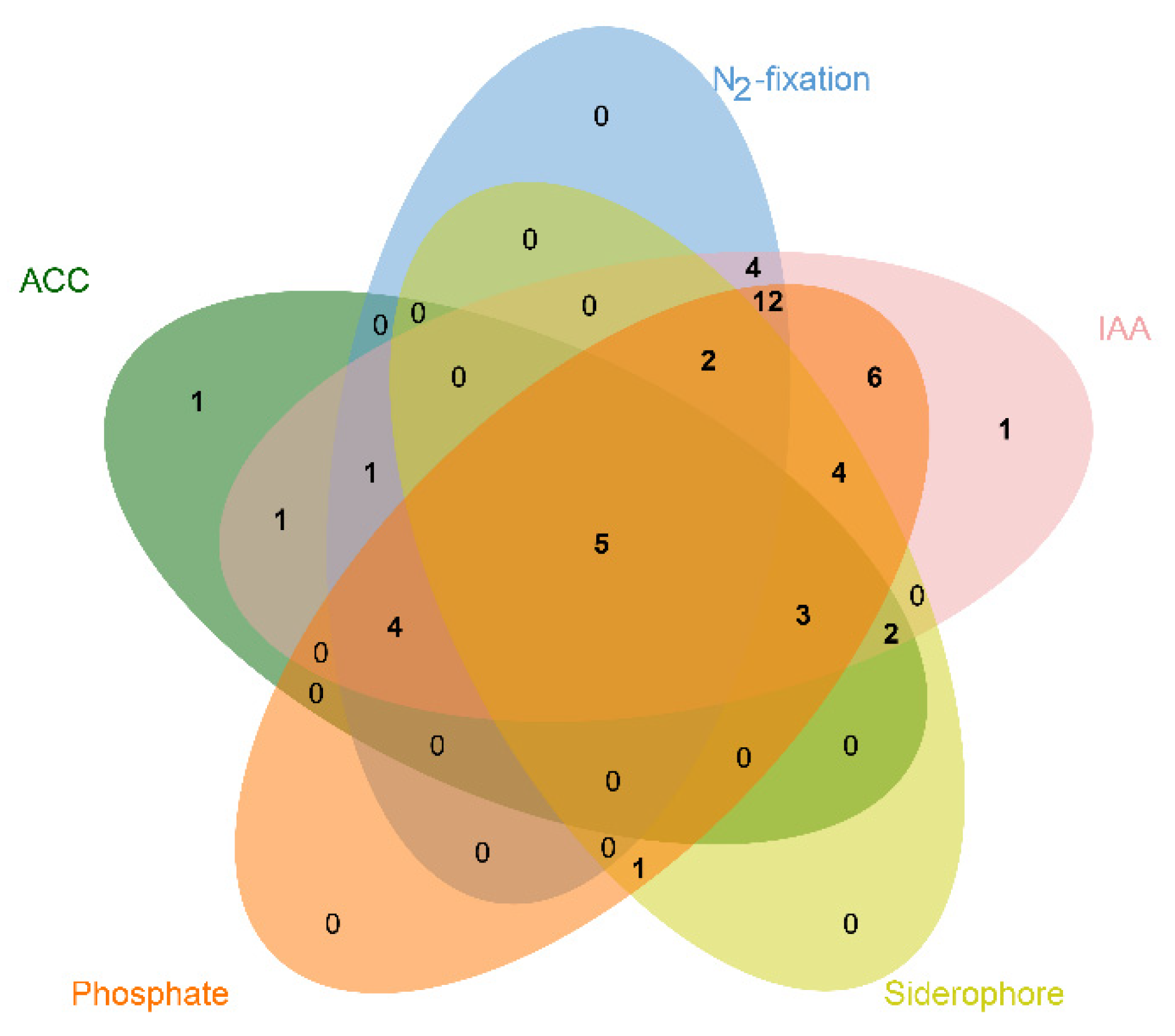 Diversity 13 00665 g003