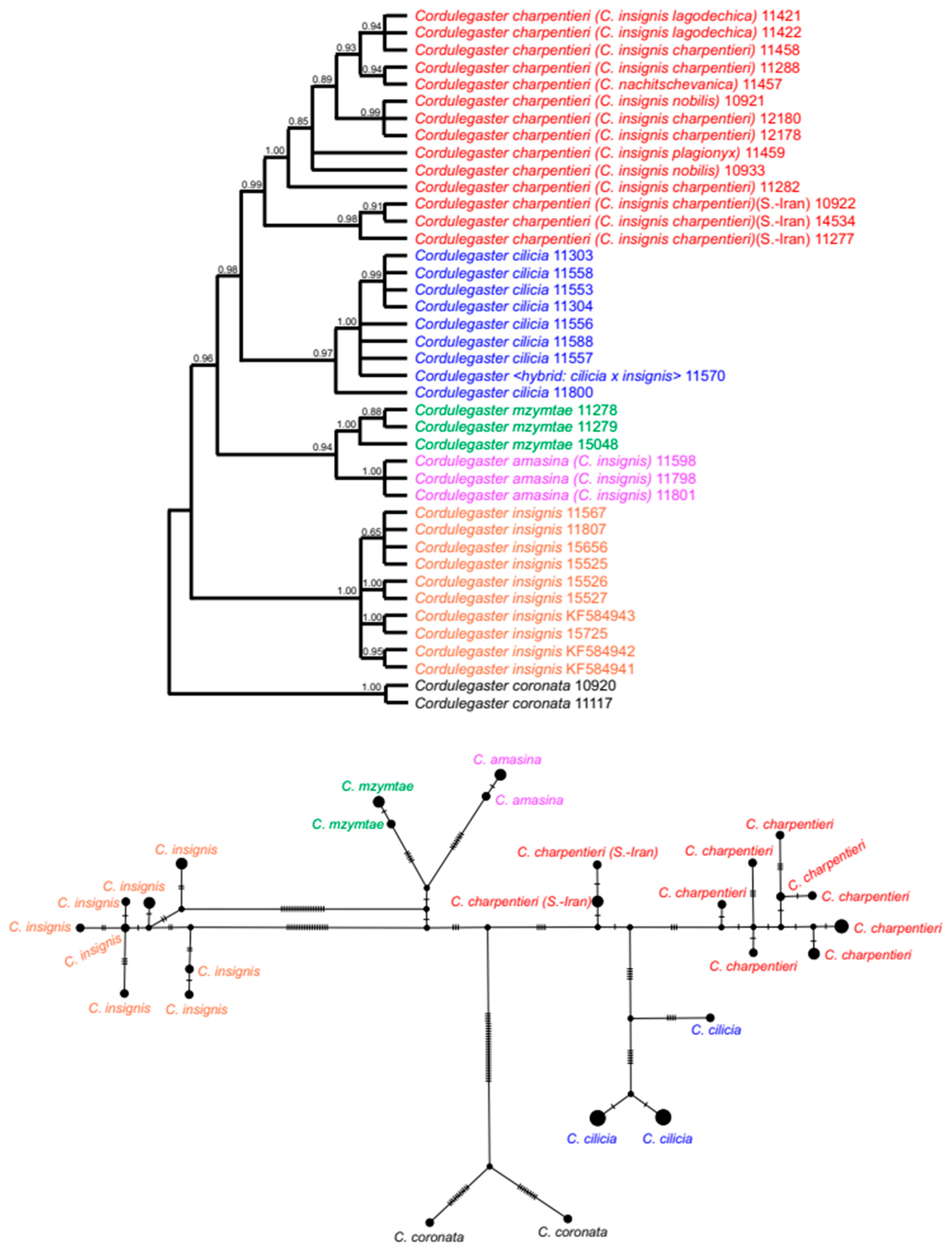 Diversity 13 00667 g007