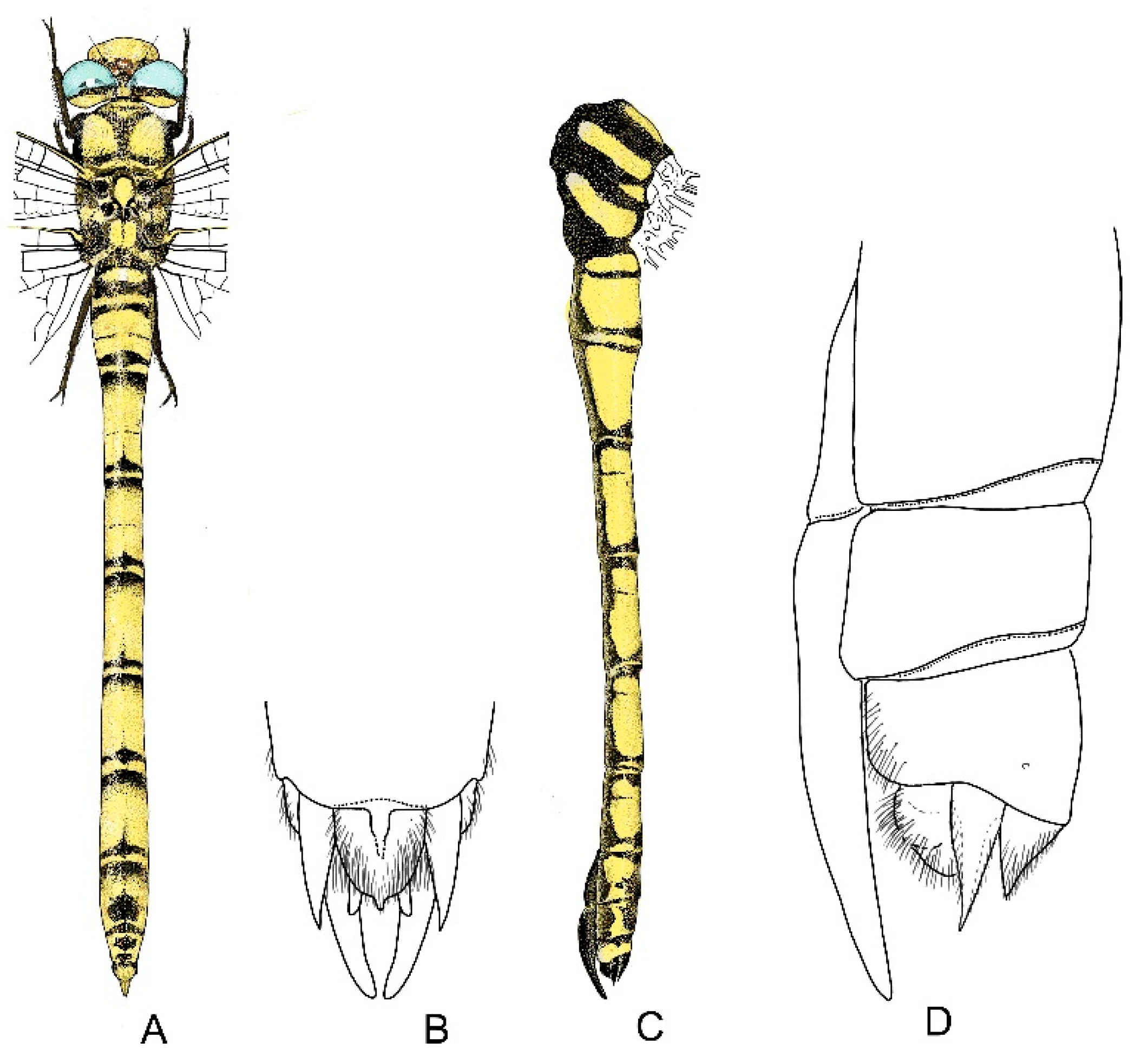 Diversity 13 00667 g012