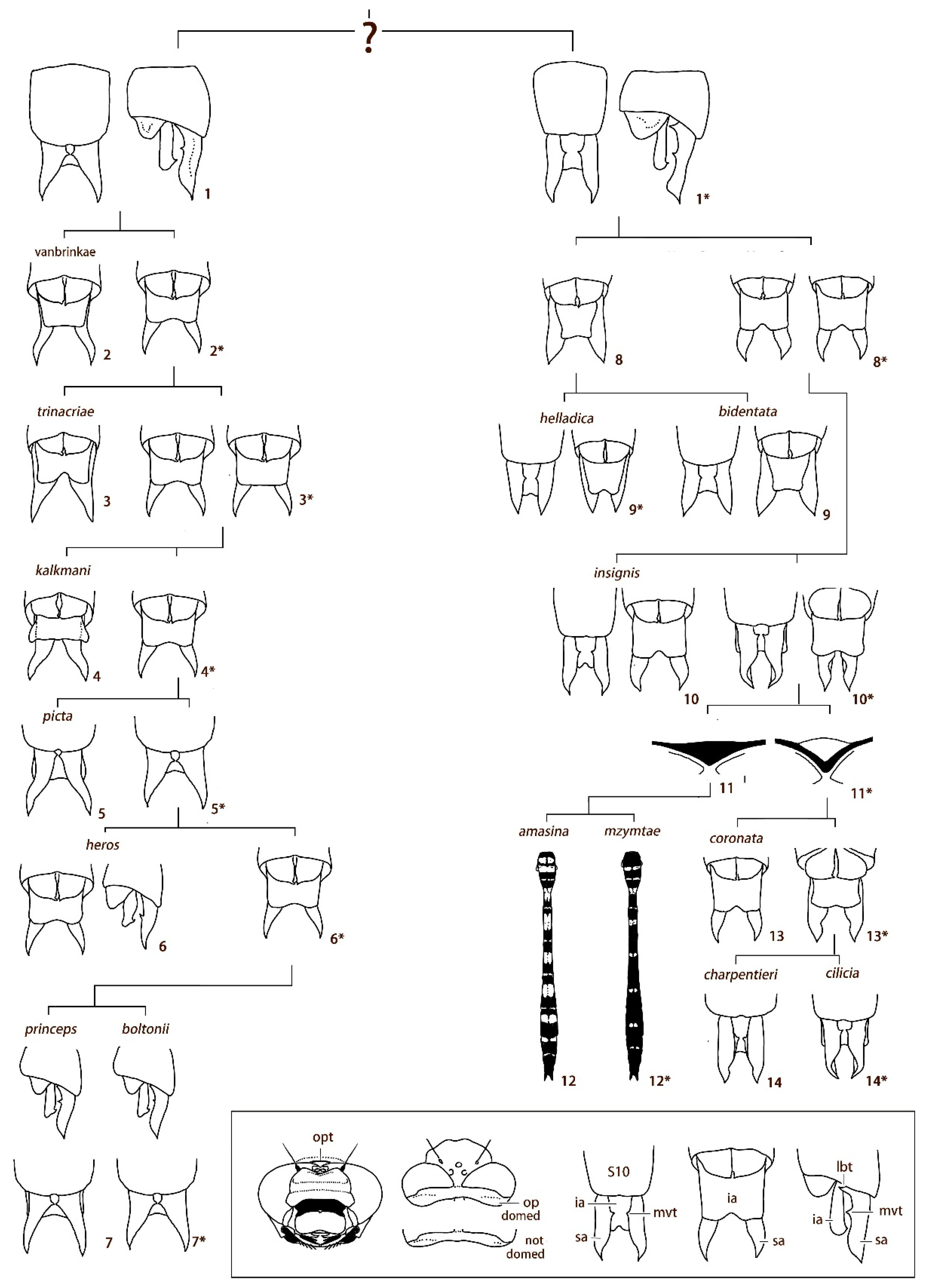 Diversity 13 00667 g023