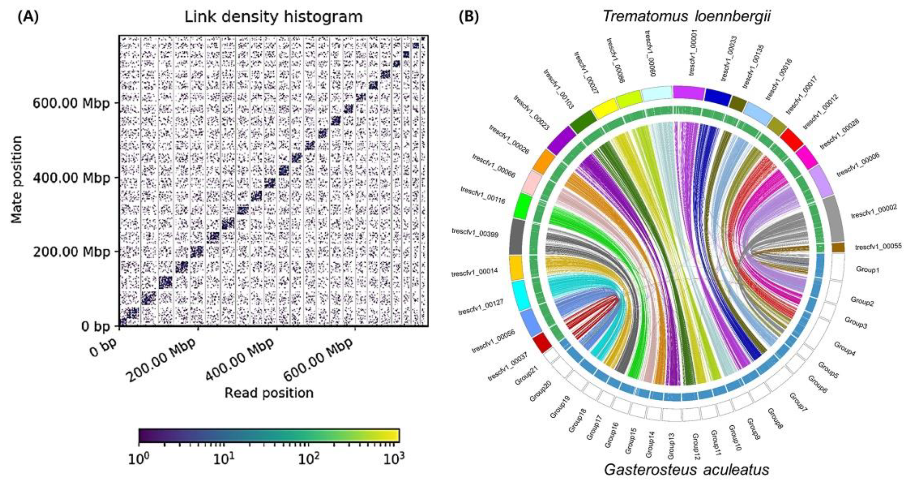 Diversity 13 00668 g001