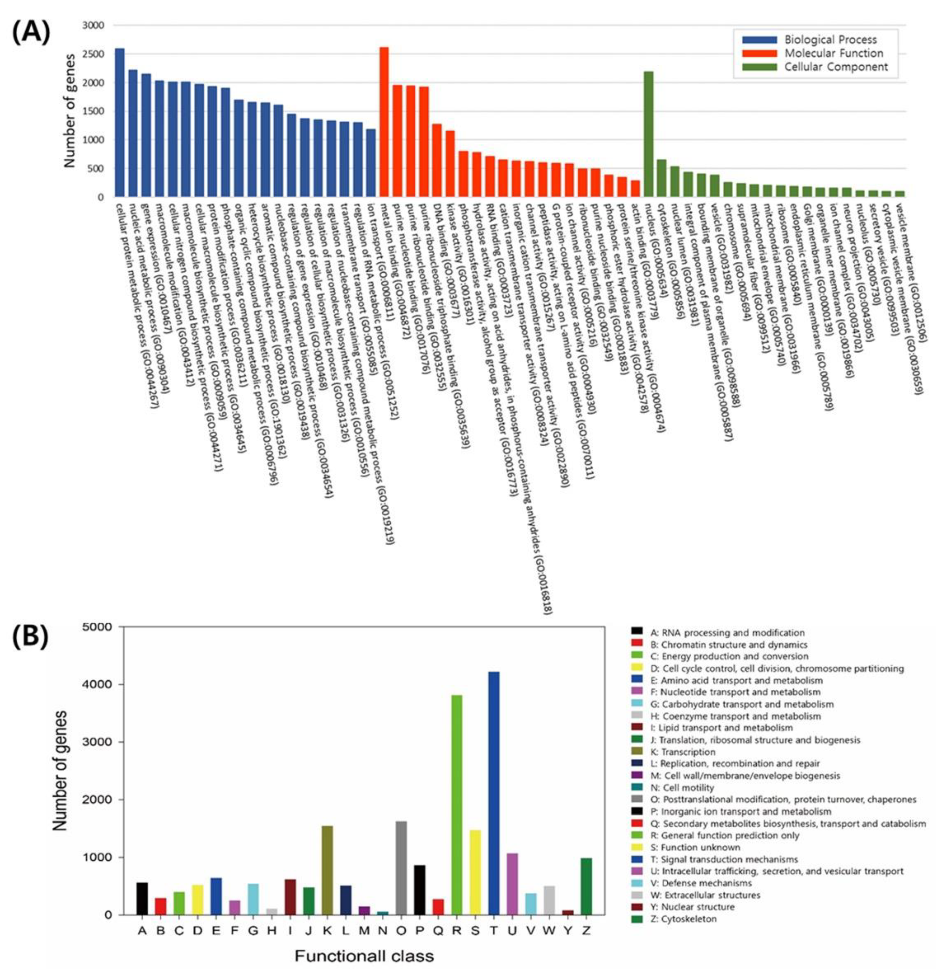 Diversity 13 00668 g003