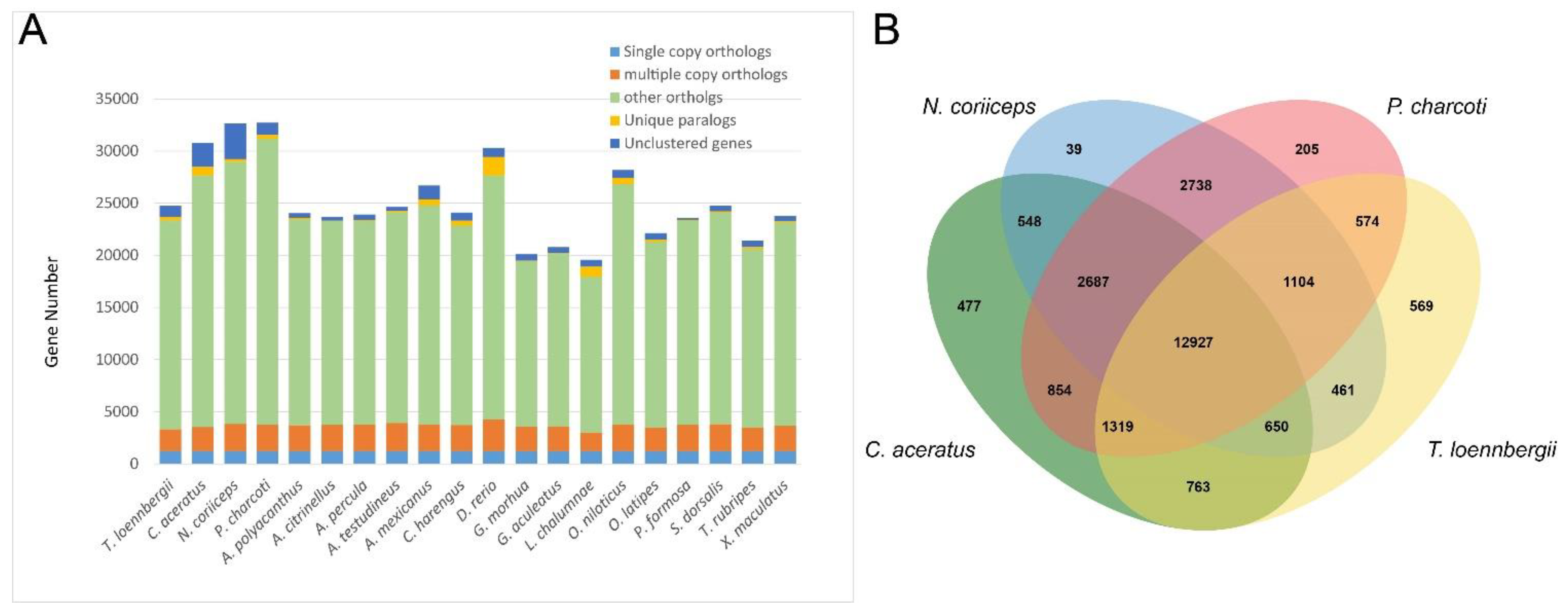 Diversity 13 00668 g004