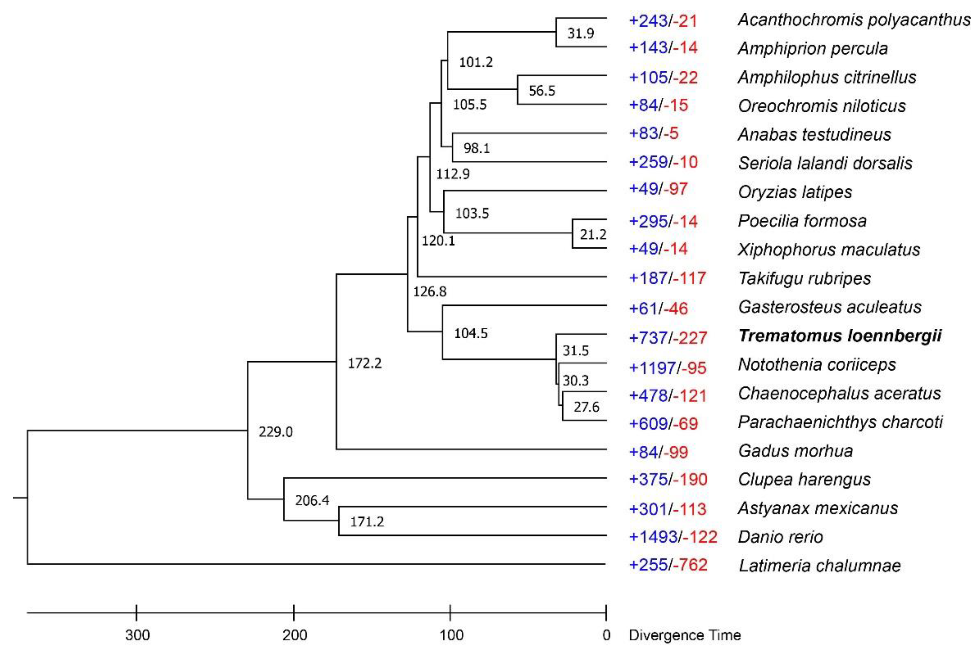 Diversity 13 00668 g005