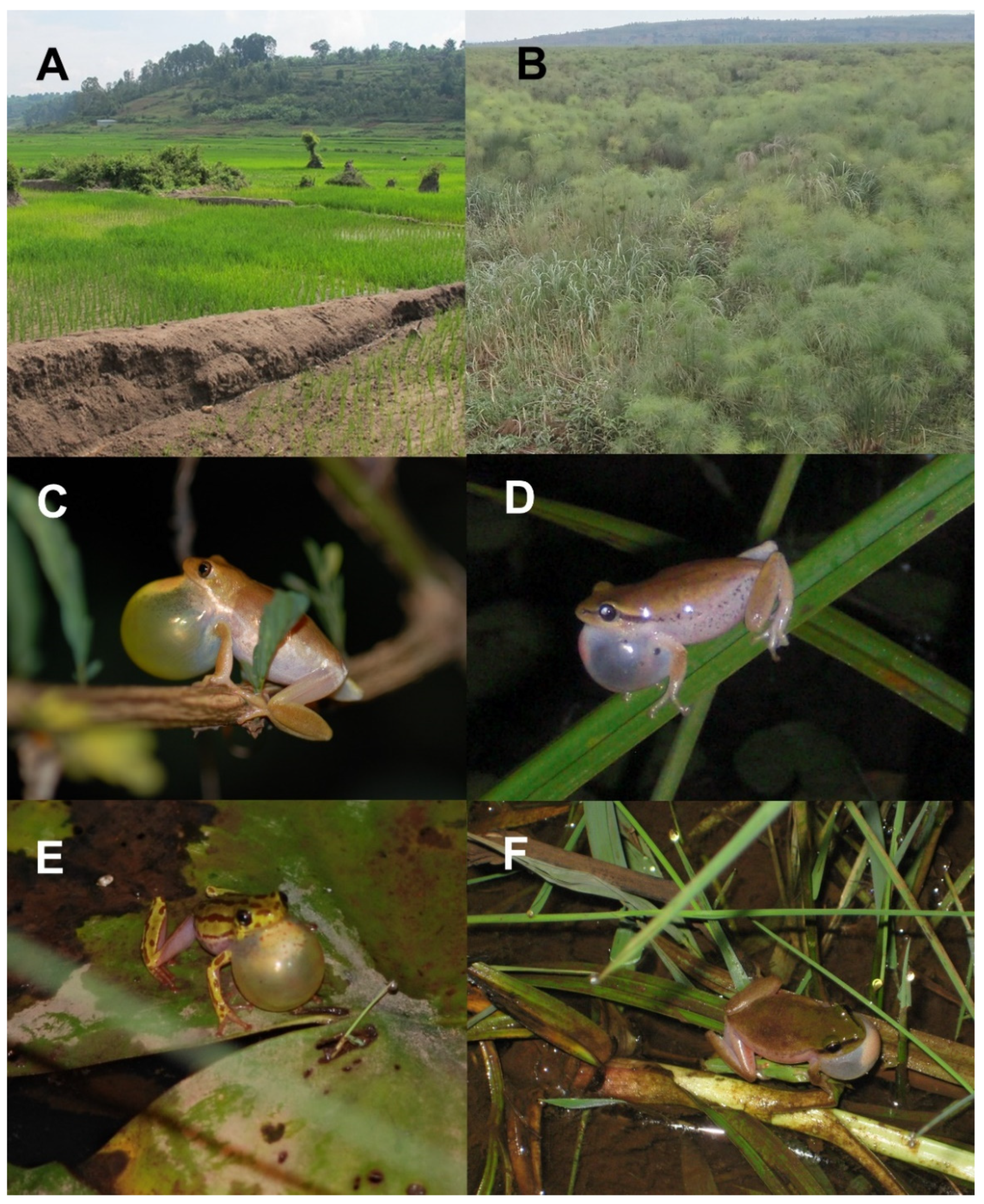 Diversity 13 00669 g001