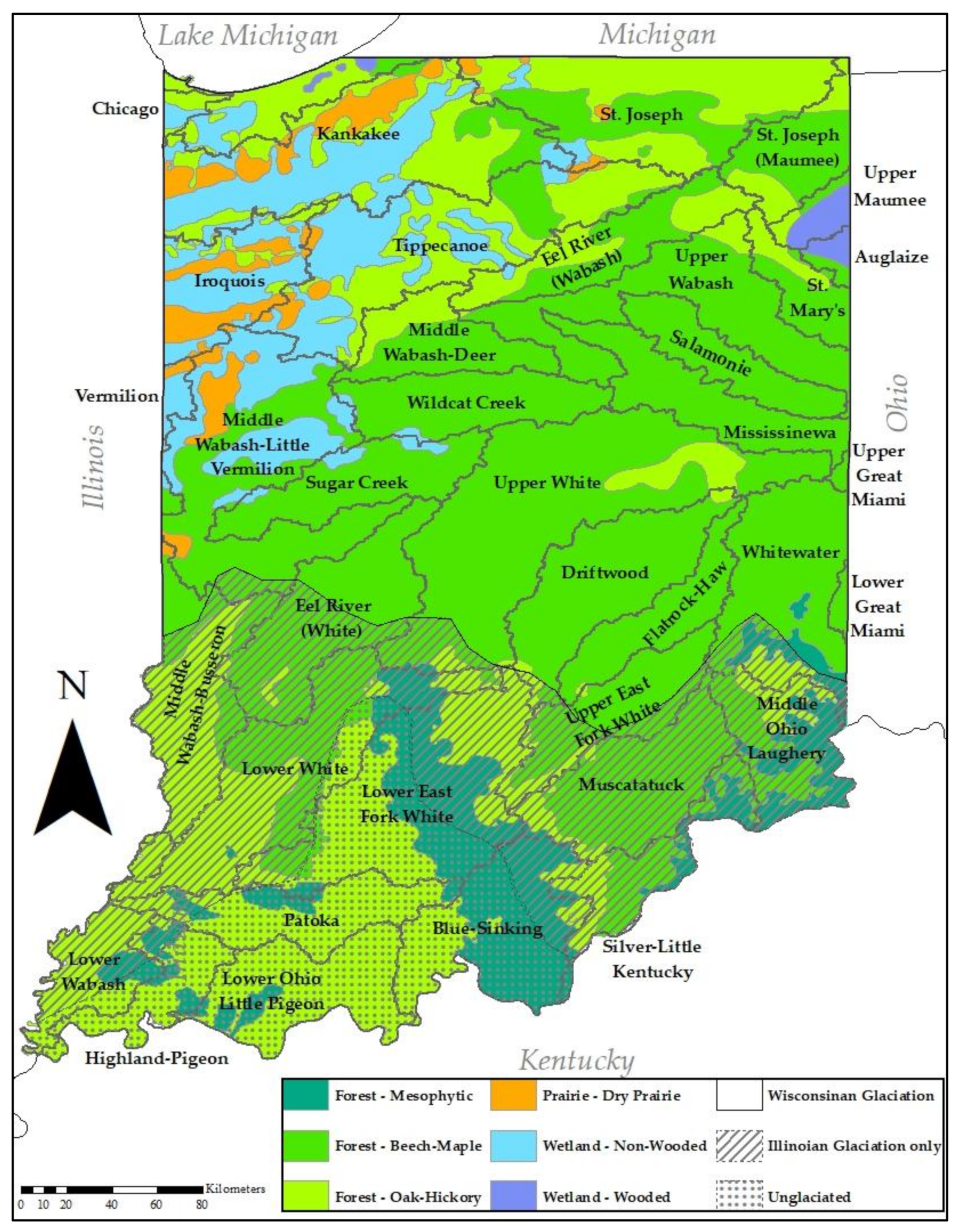 Diversity 13 00672 g001