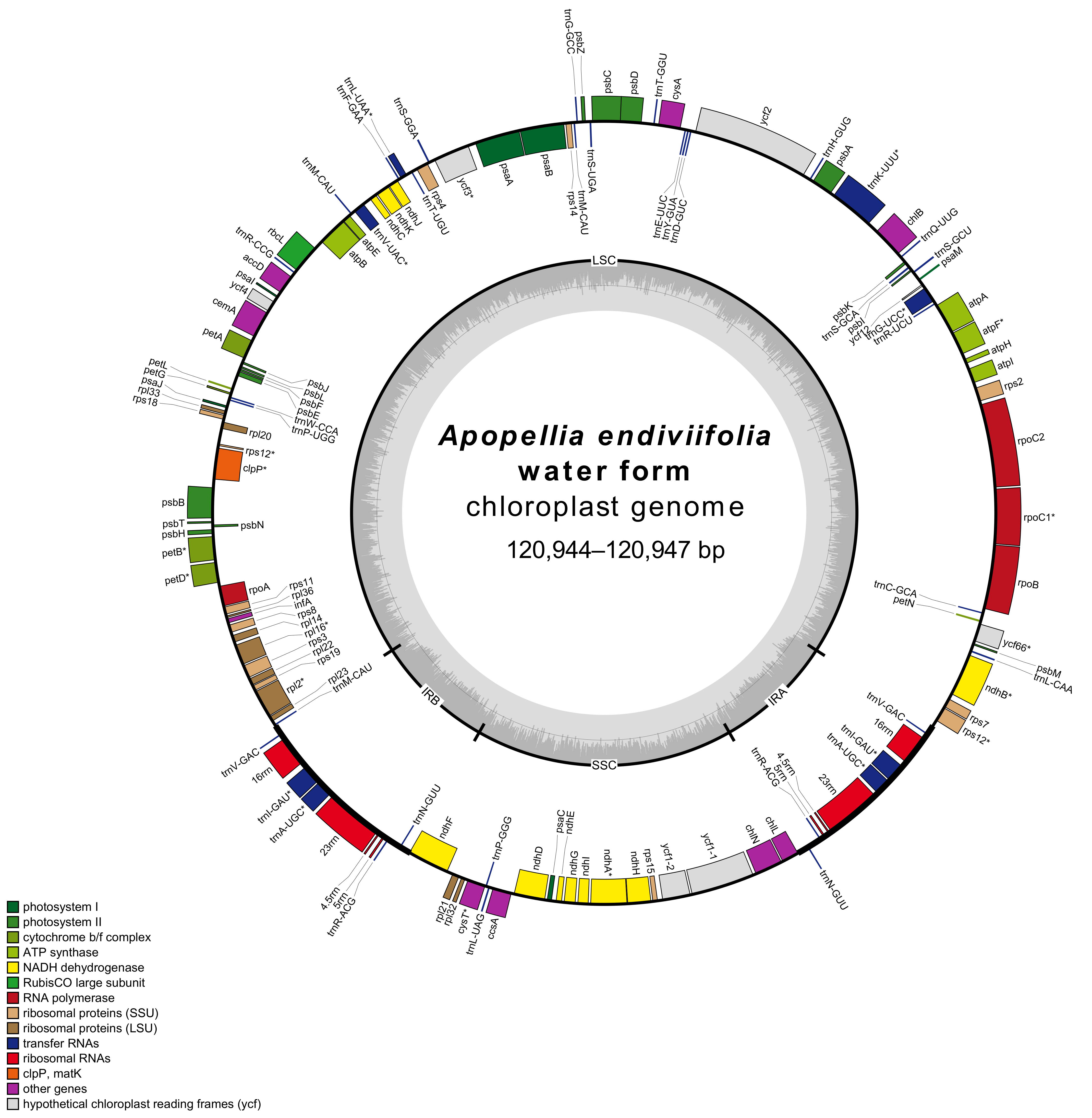 Diversity 13 00674 g001