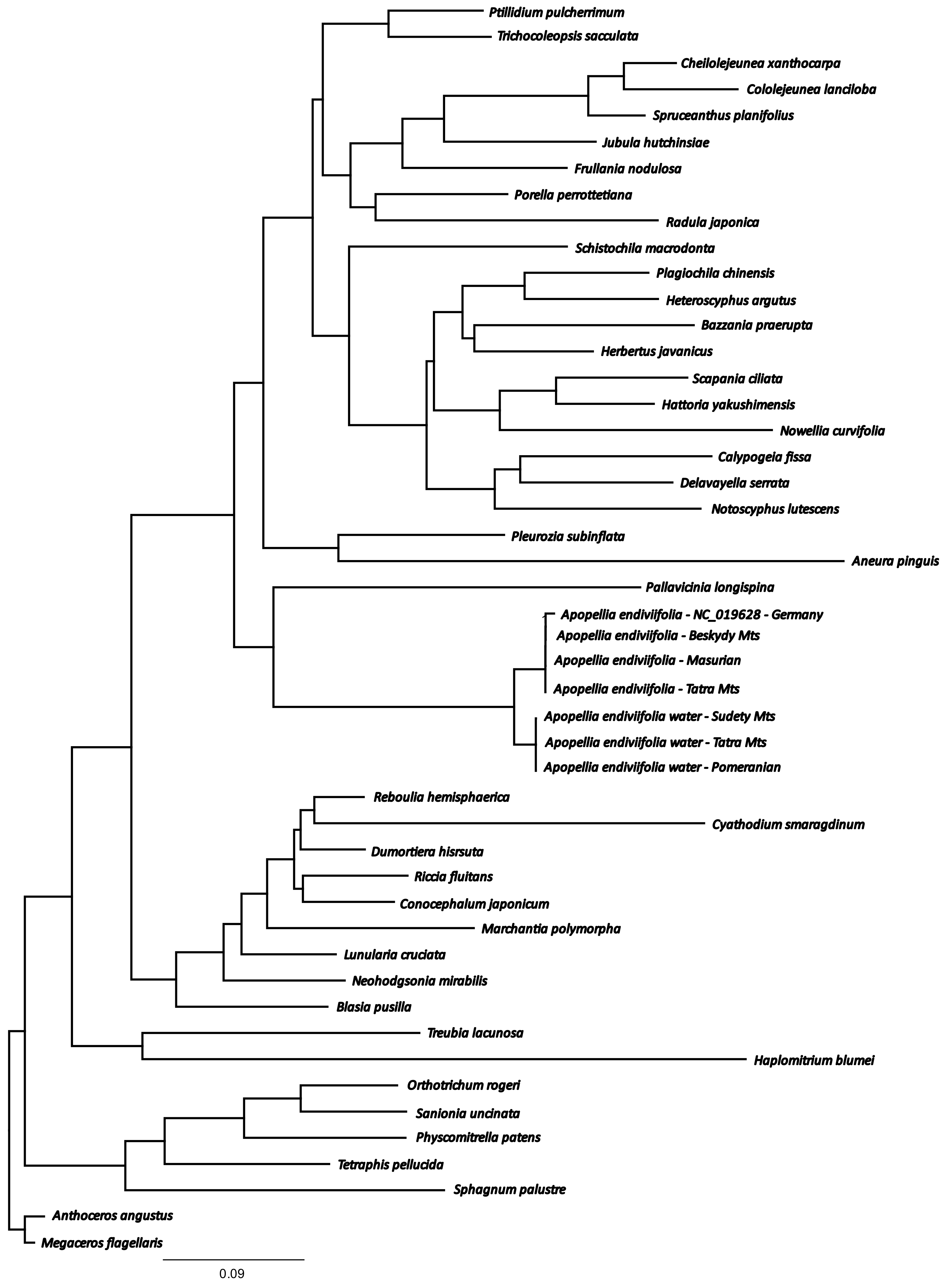 Diversity 13 00674 g004