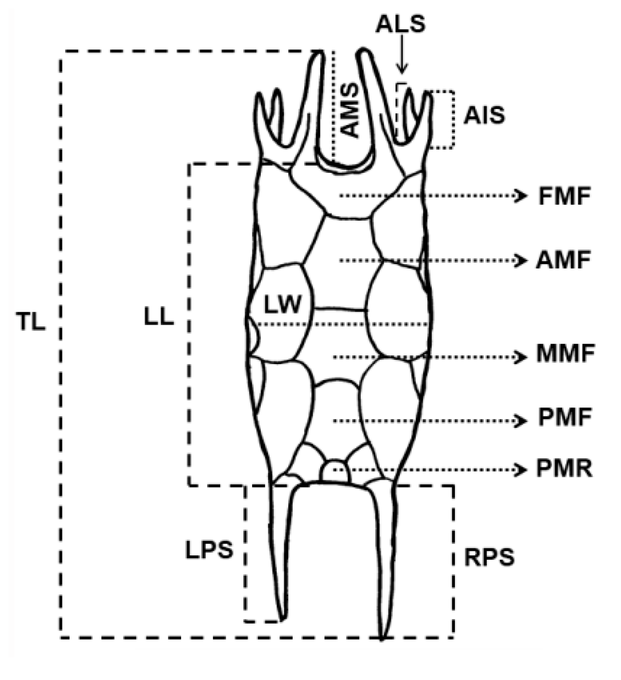 Diversity 13 00676 g002 Diversity 13 00676 g002