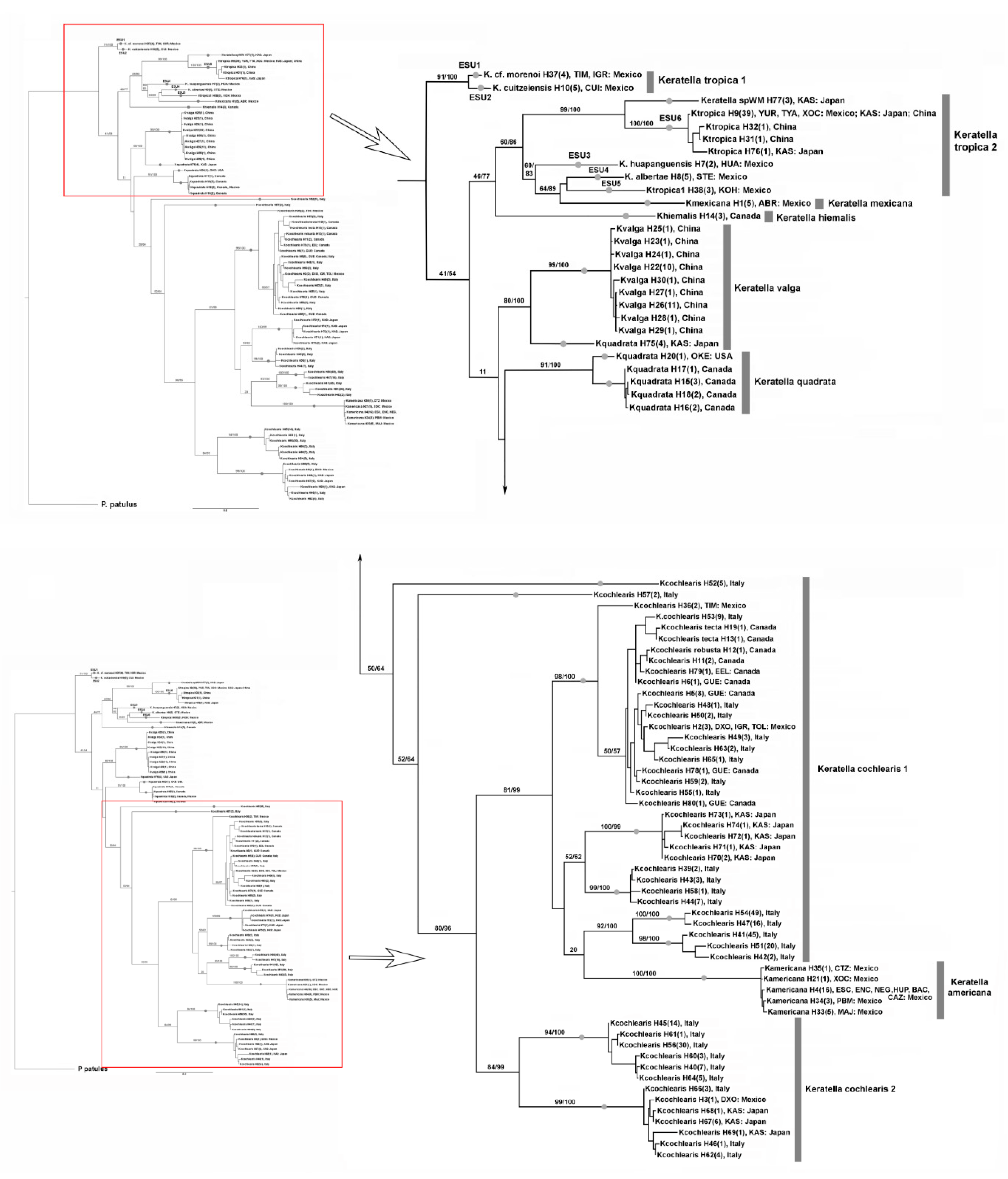 Diversity 13 00676 g003 Diversity 13 00676 g003