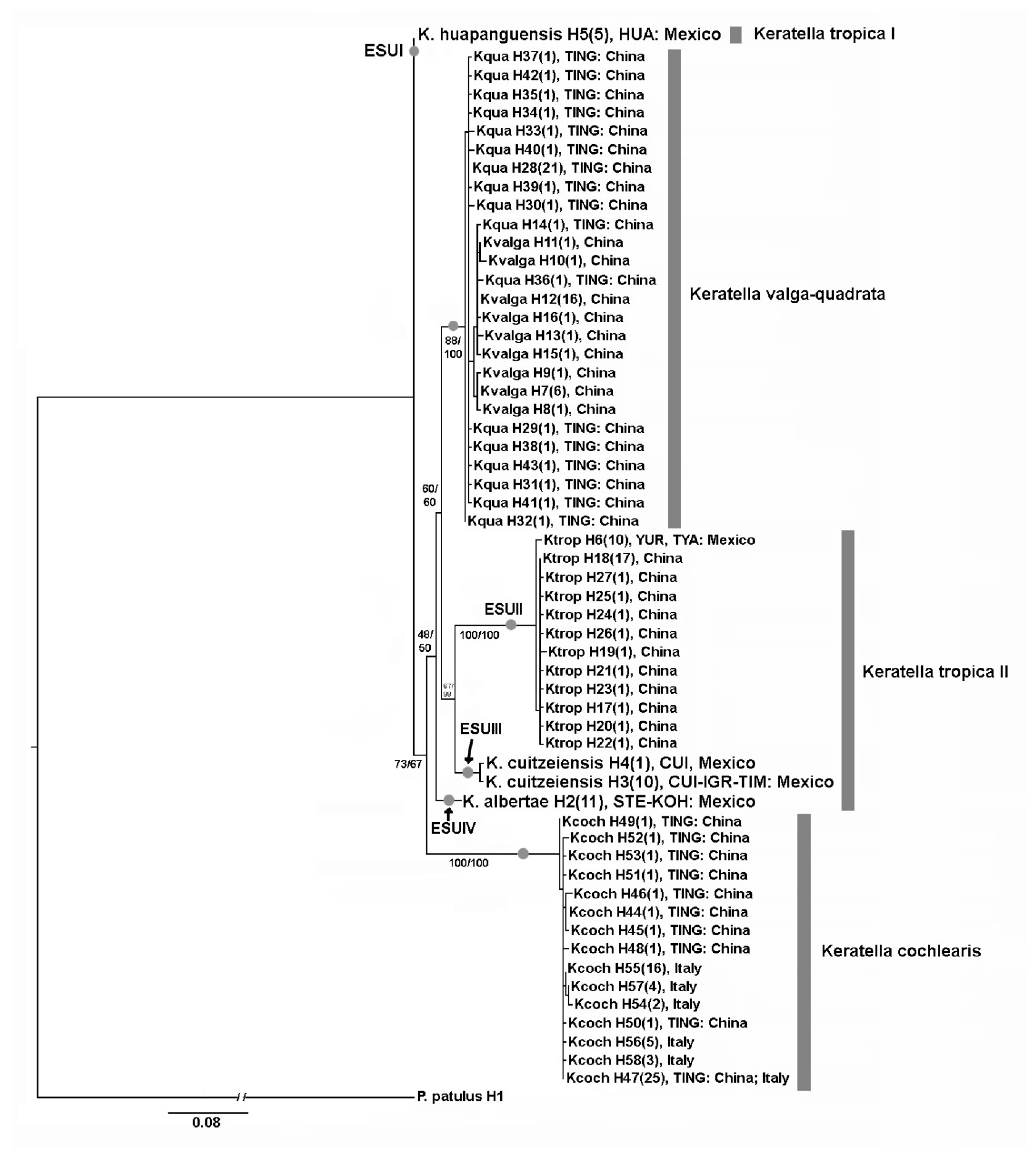 Diversity 13 00676 g004 Diversity 13 00676 g004