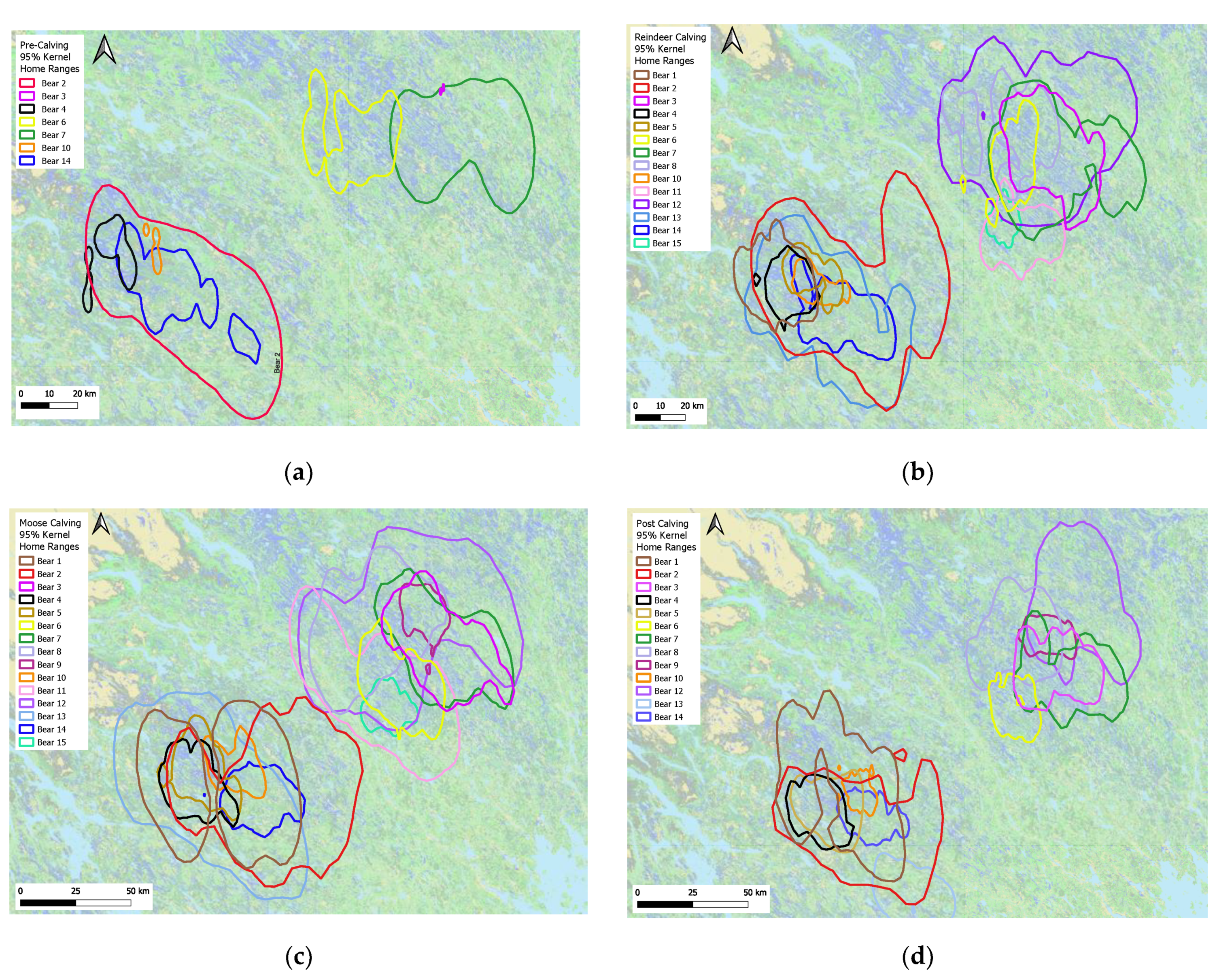 Diversity 13 00678 g002