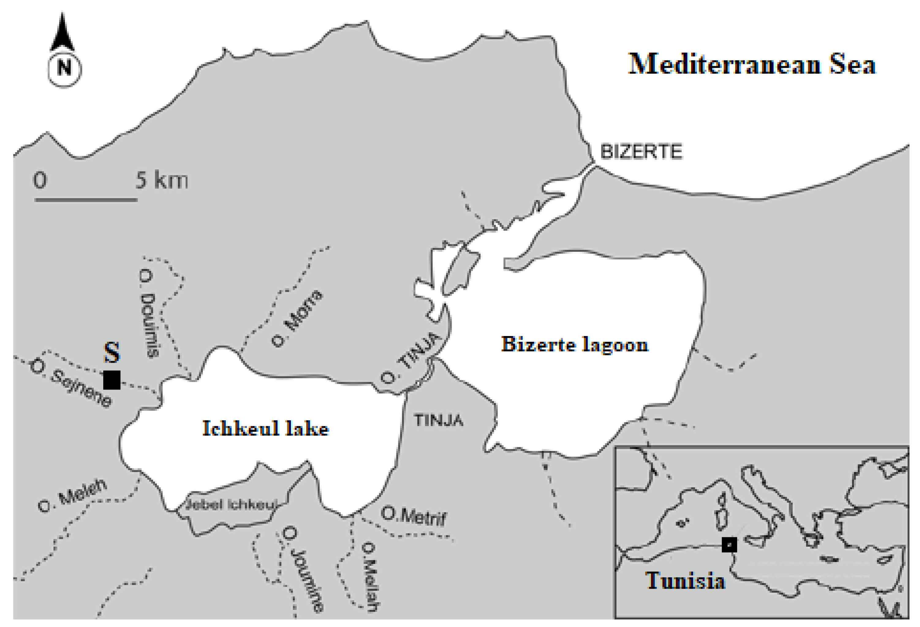 Diversity 13 00679 g001