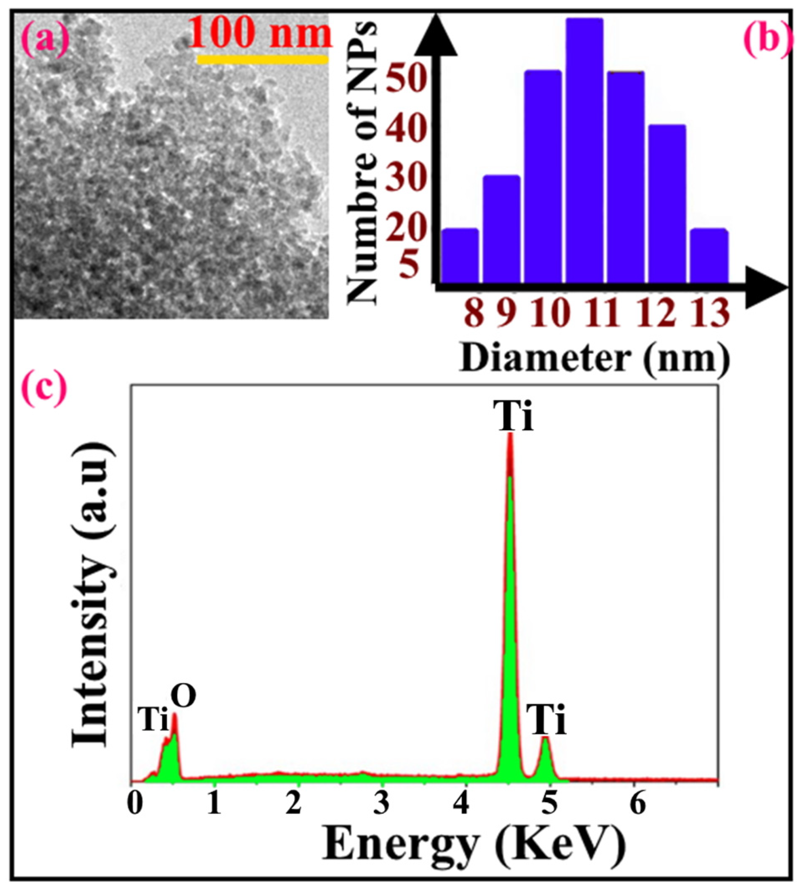 Diversity 13 00679 g003