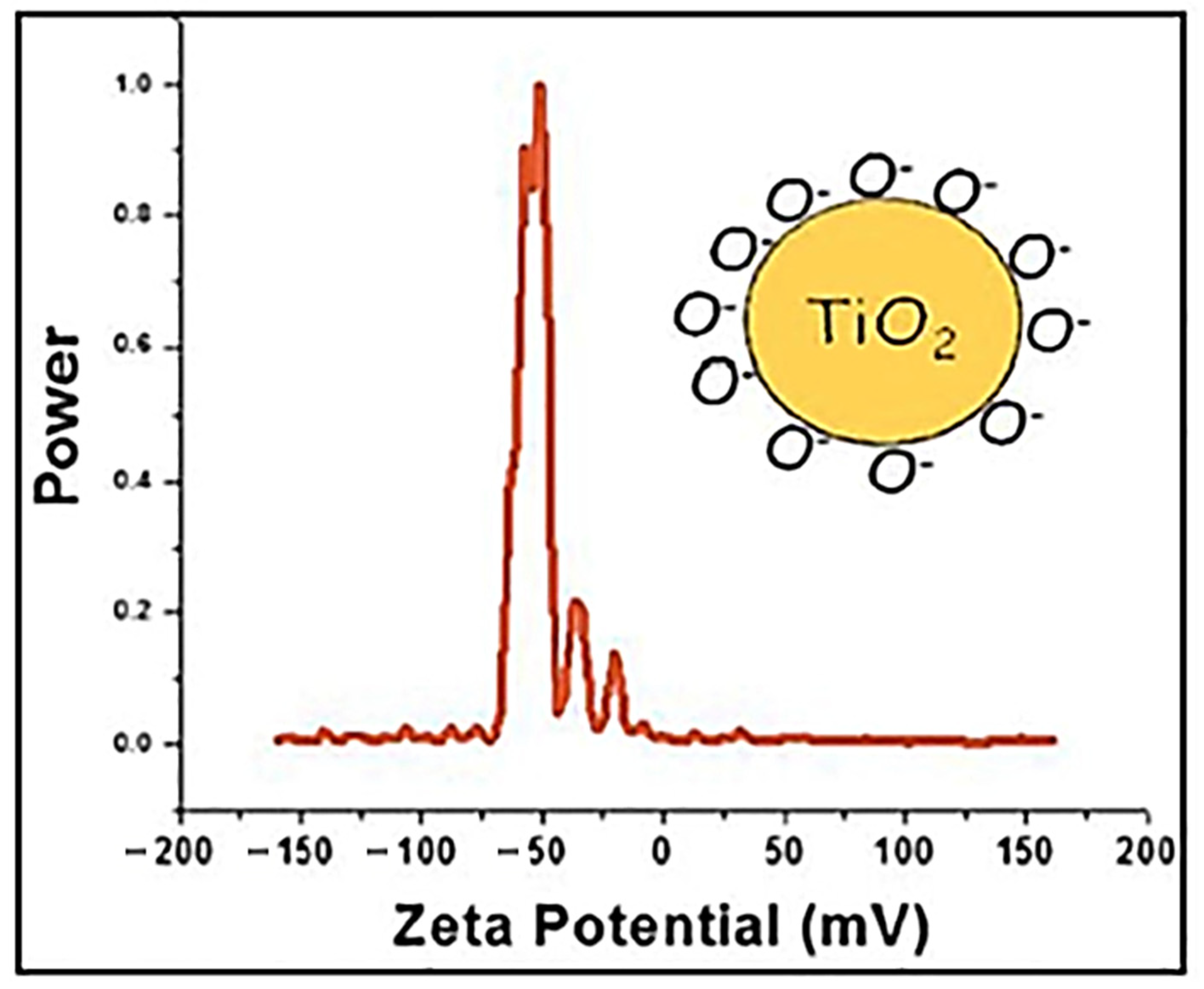 Diversity 13 00679 g005