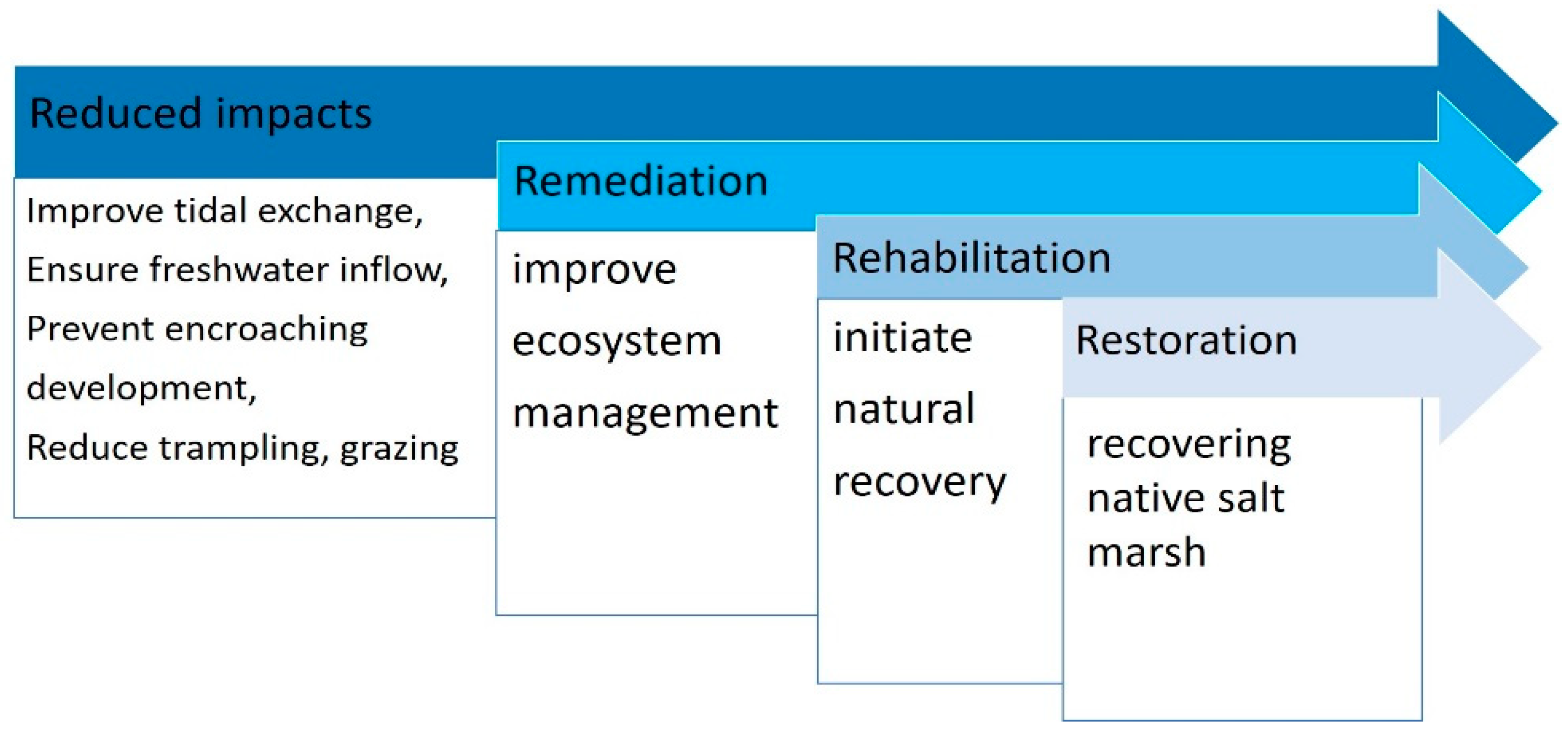 Diversity 13 00680 g001