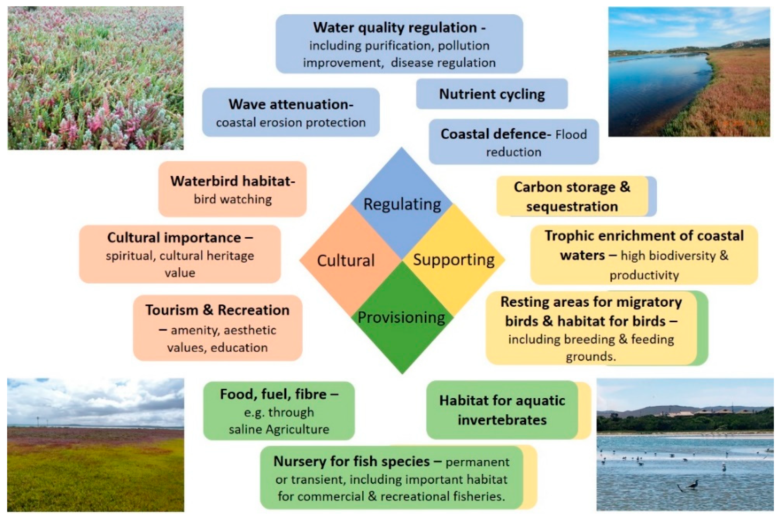 Diversity 13 00680 g002