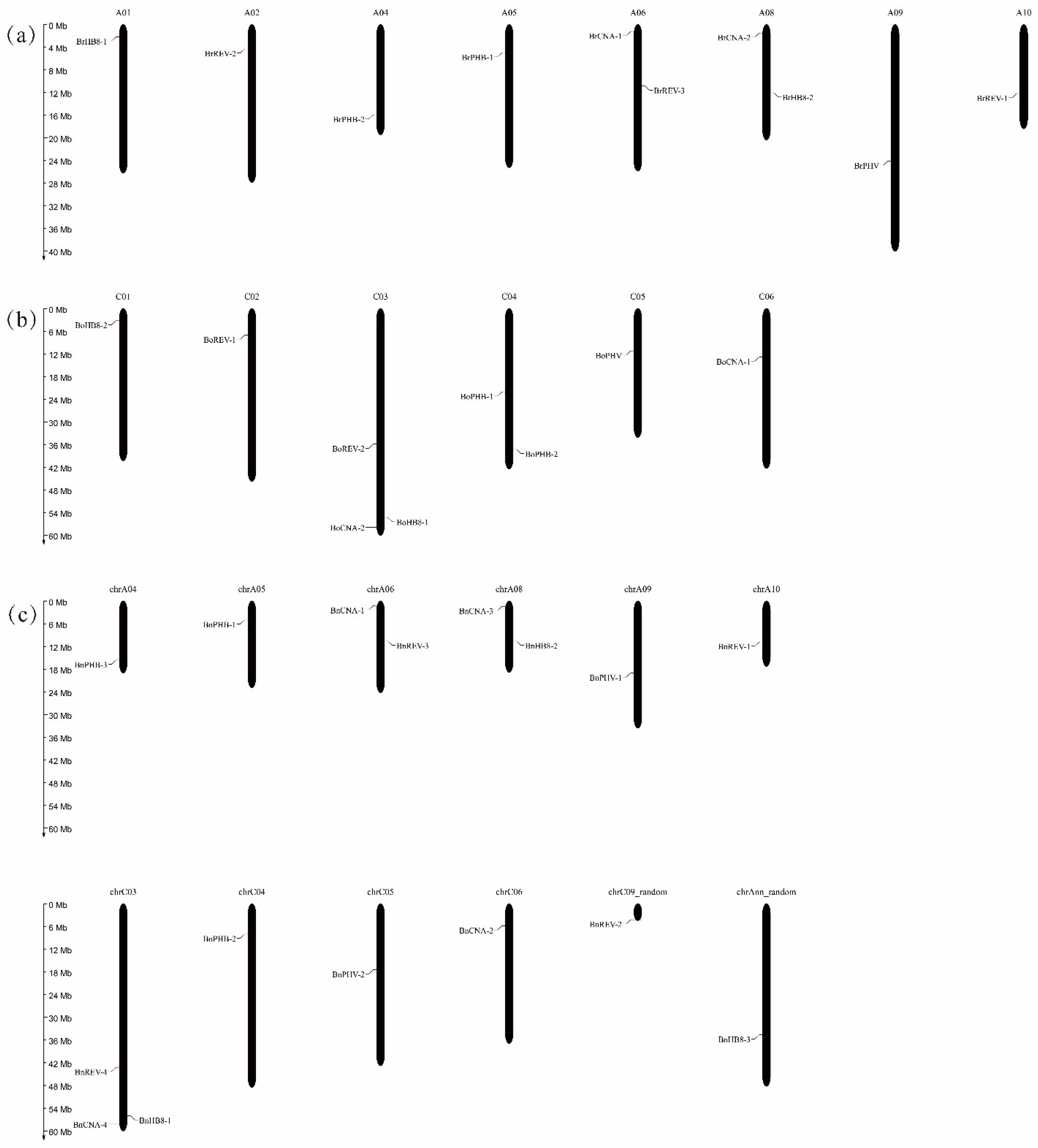 Diversity 13 00684 g001