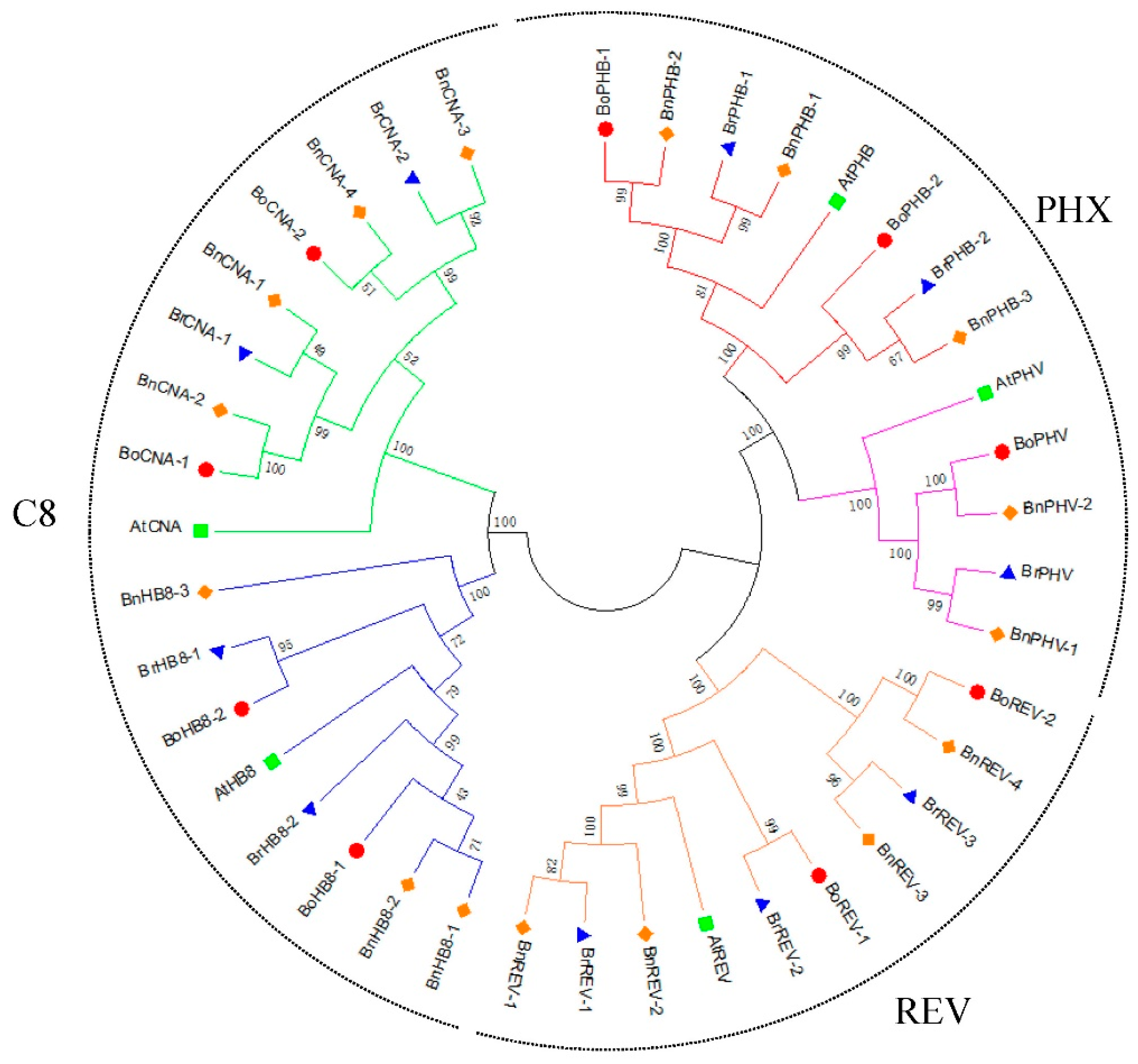 Diversity 13 00684 g002