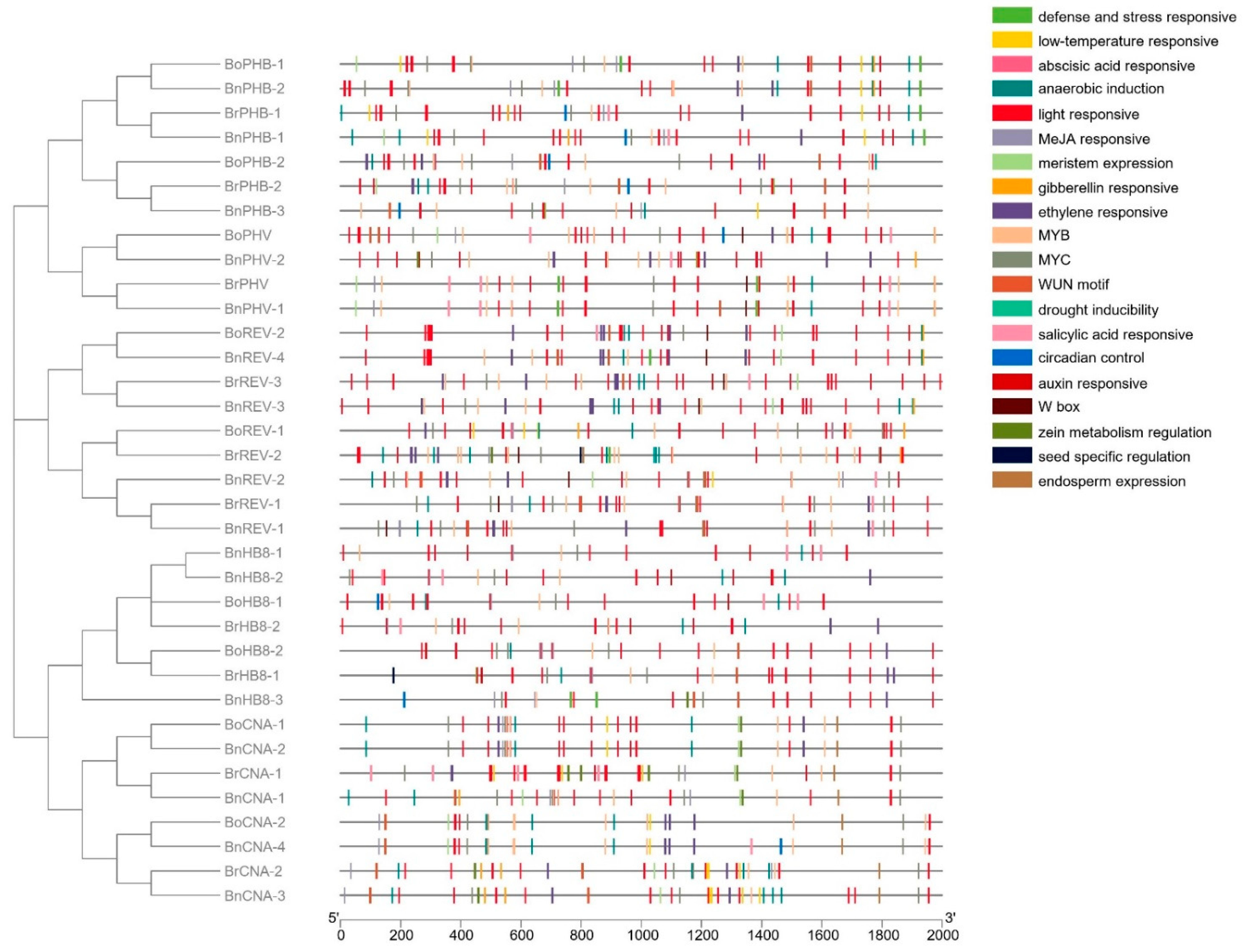 Diversity 13 00684 g004