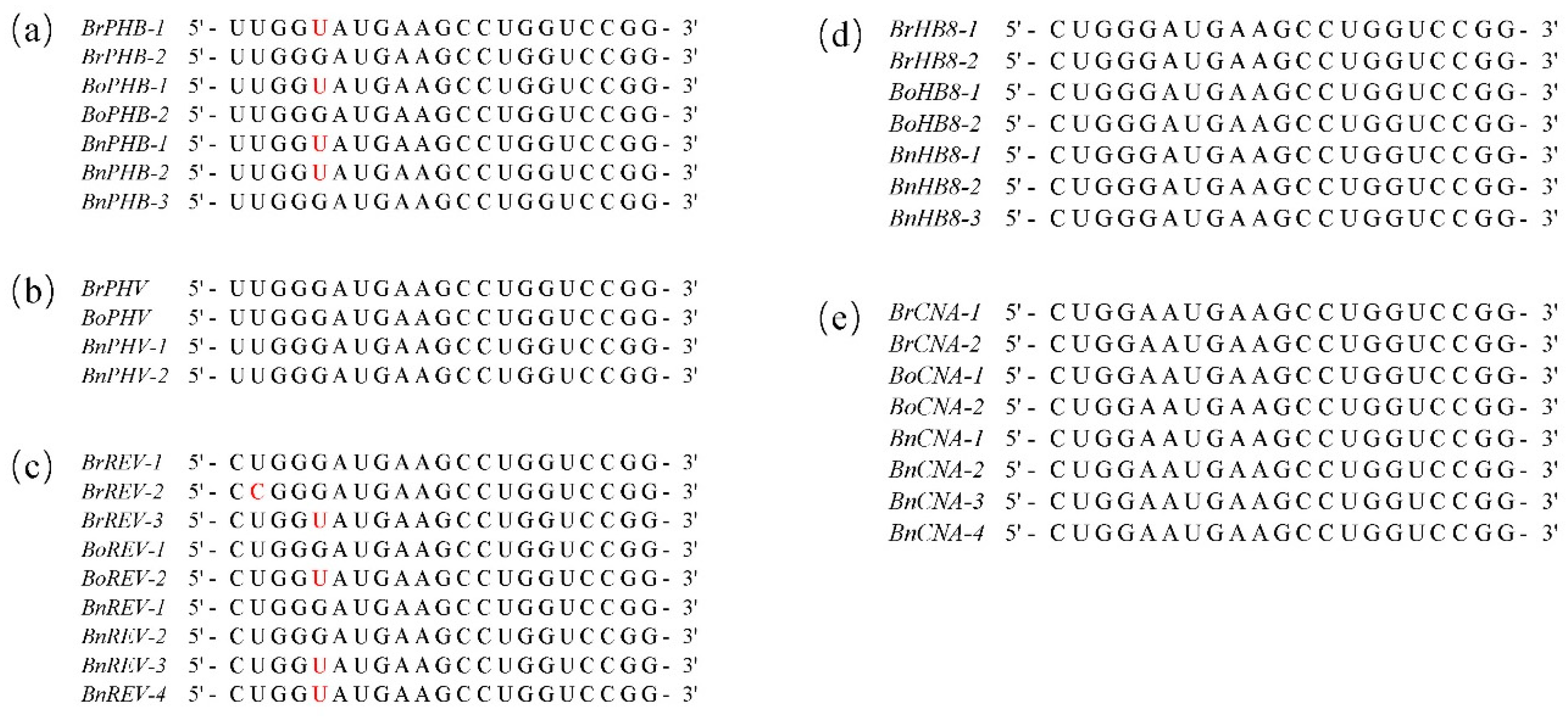 Diversity 13 00684 g007