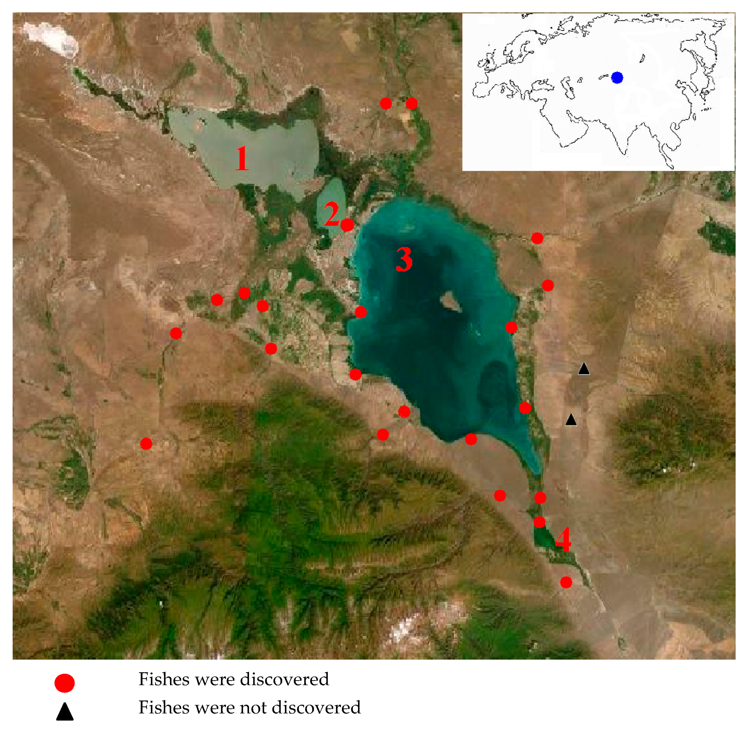 Diversity 14 00011 g001
