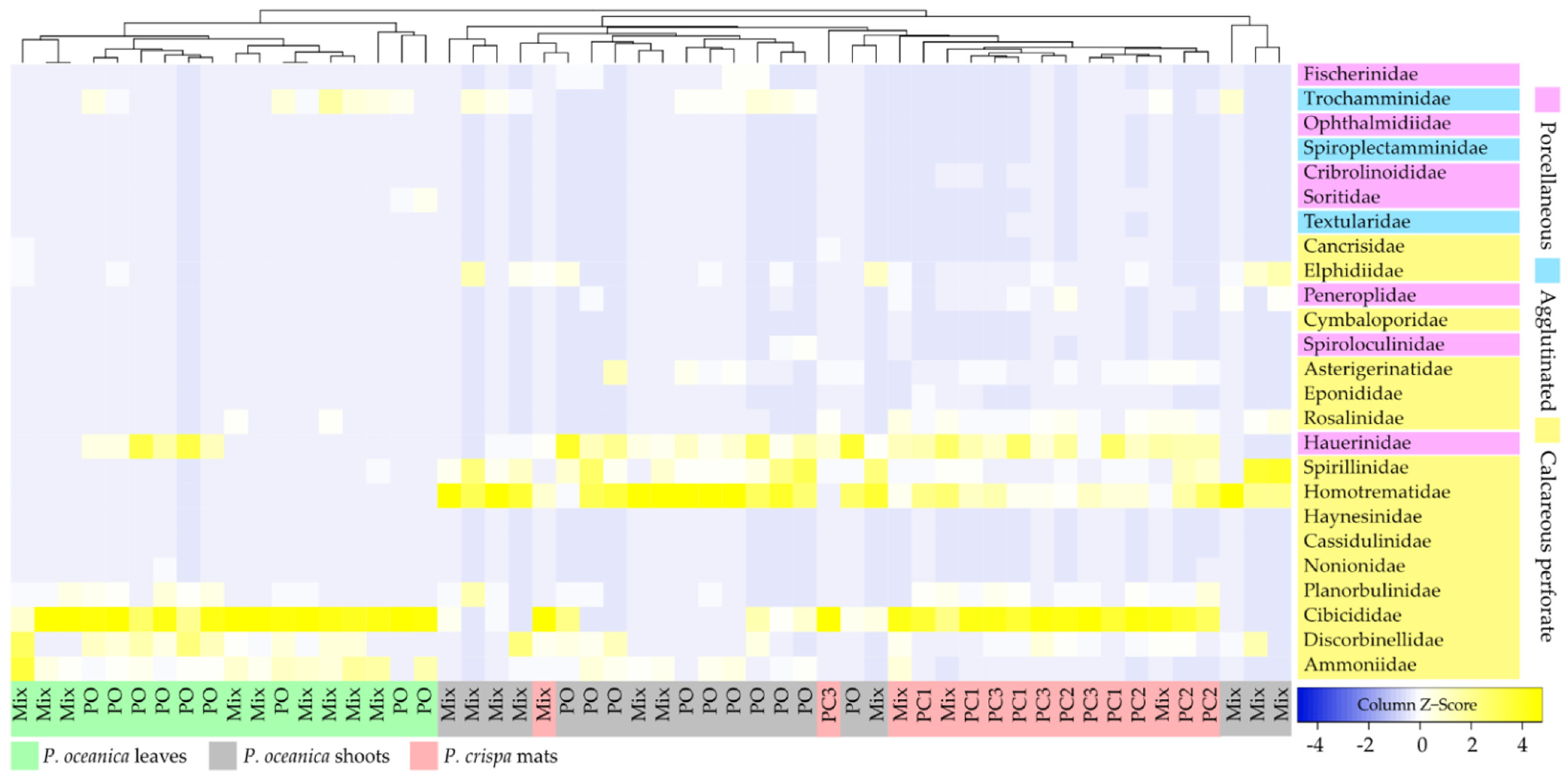 Diversity 14 00021 g004