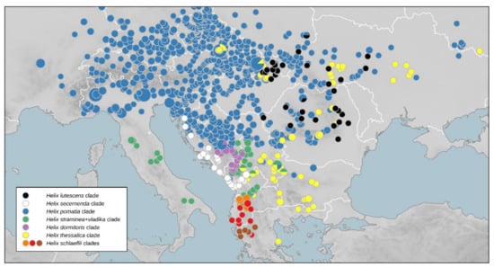 Diversity 14 00024 g005
