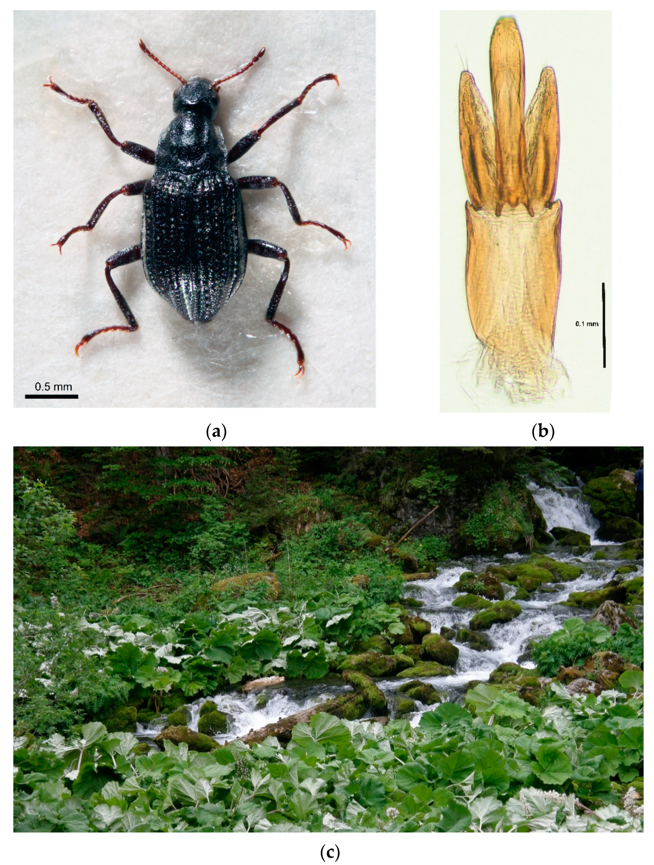 Diversity 14 00026 g001 Diversity 14 00026 g001