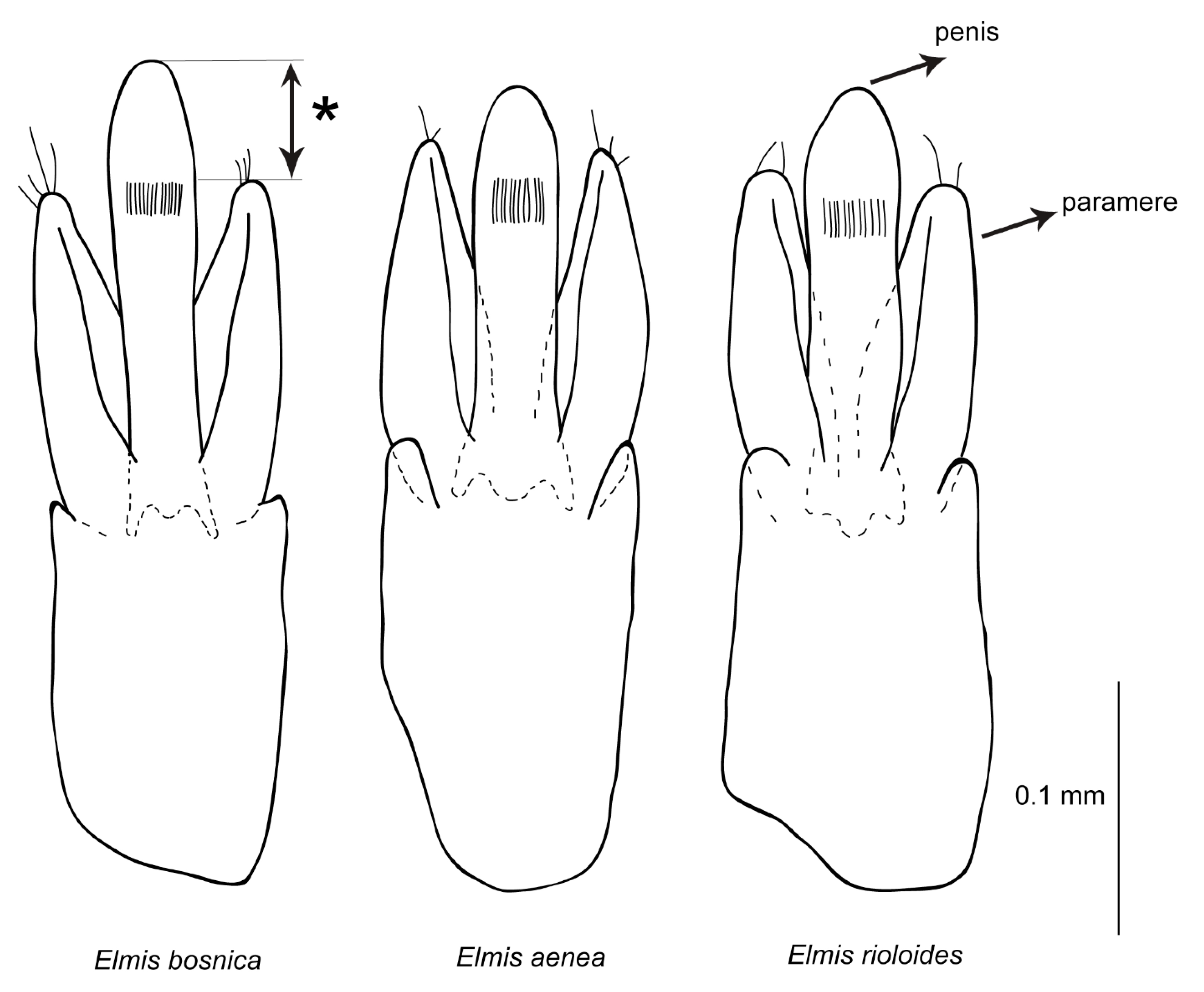 Diversity 14 00026 g004 Diversity 14 00026 g004