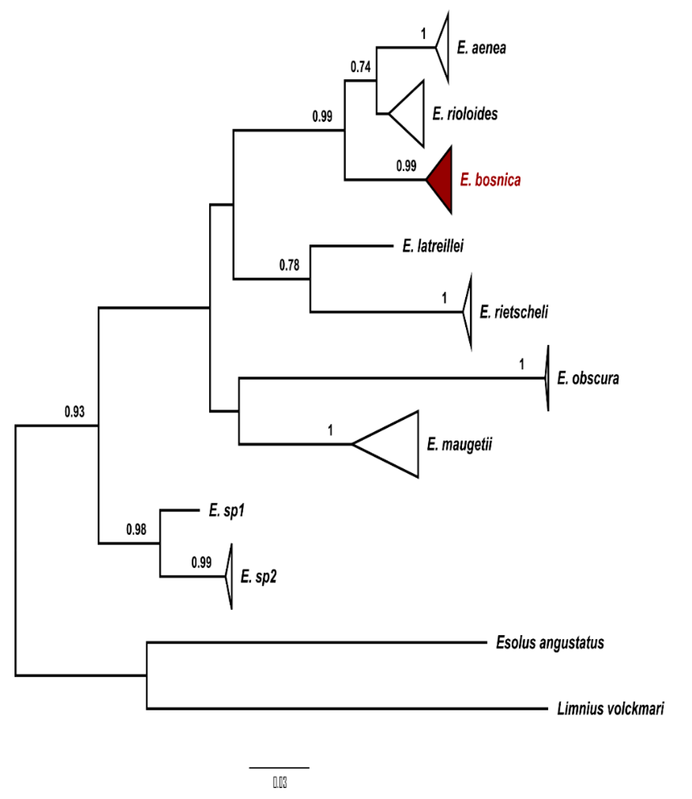 Diversity 14 00026 g005 Diversity 14 00026 g005