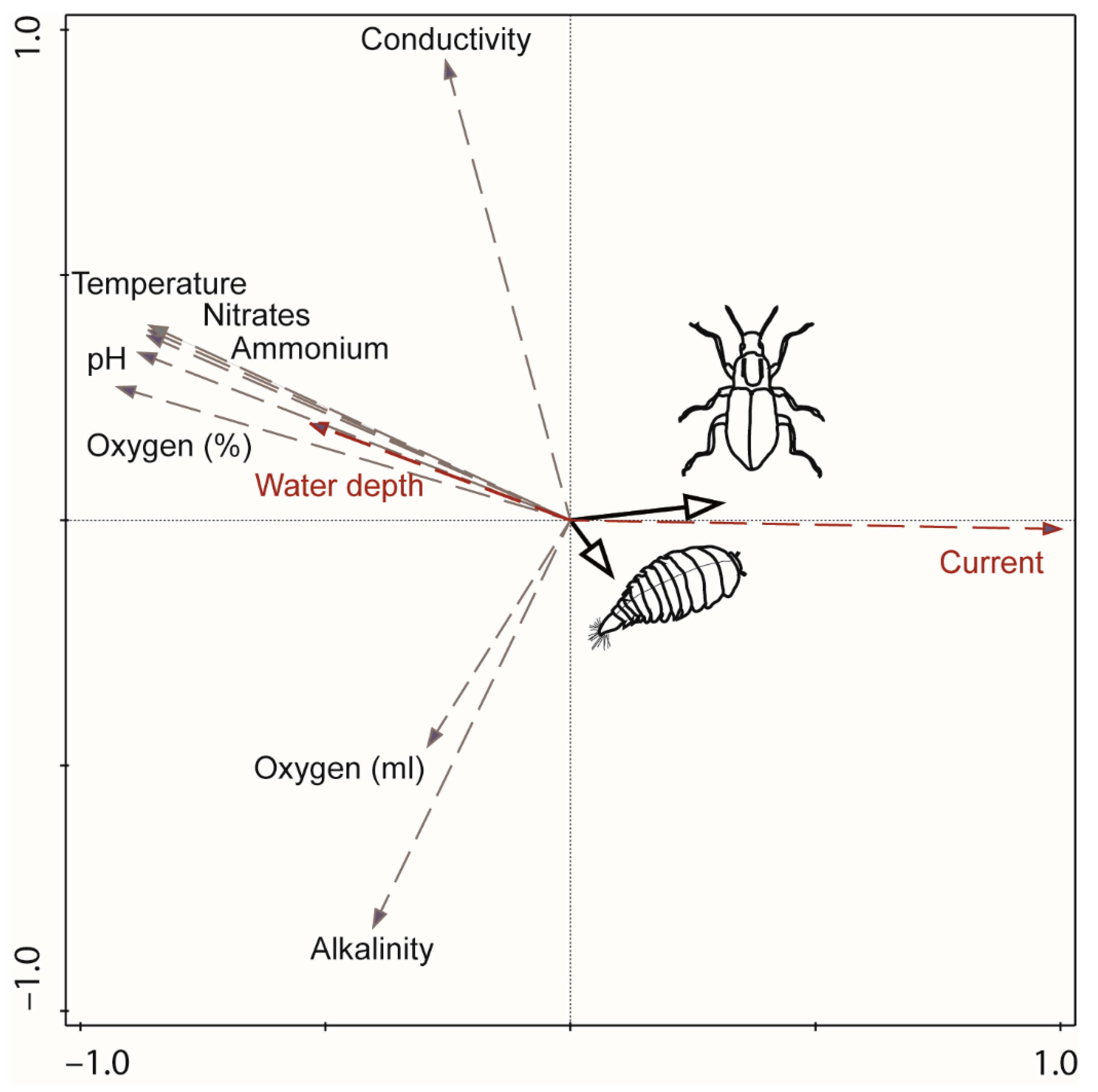 Diversity 14 00026 g007 Diversity 14 00026 g007