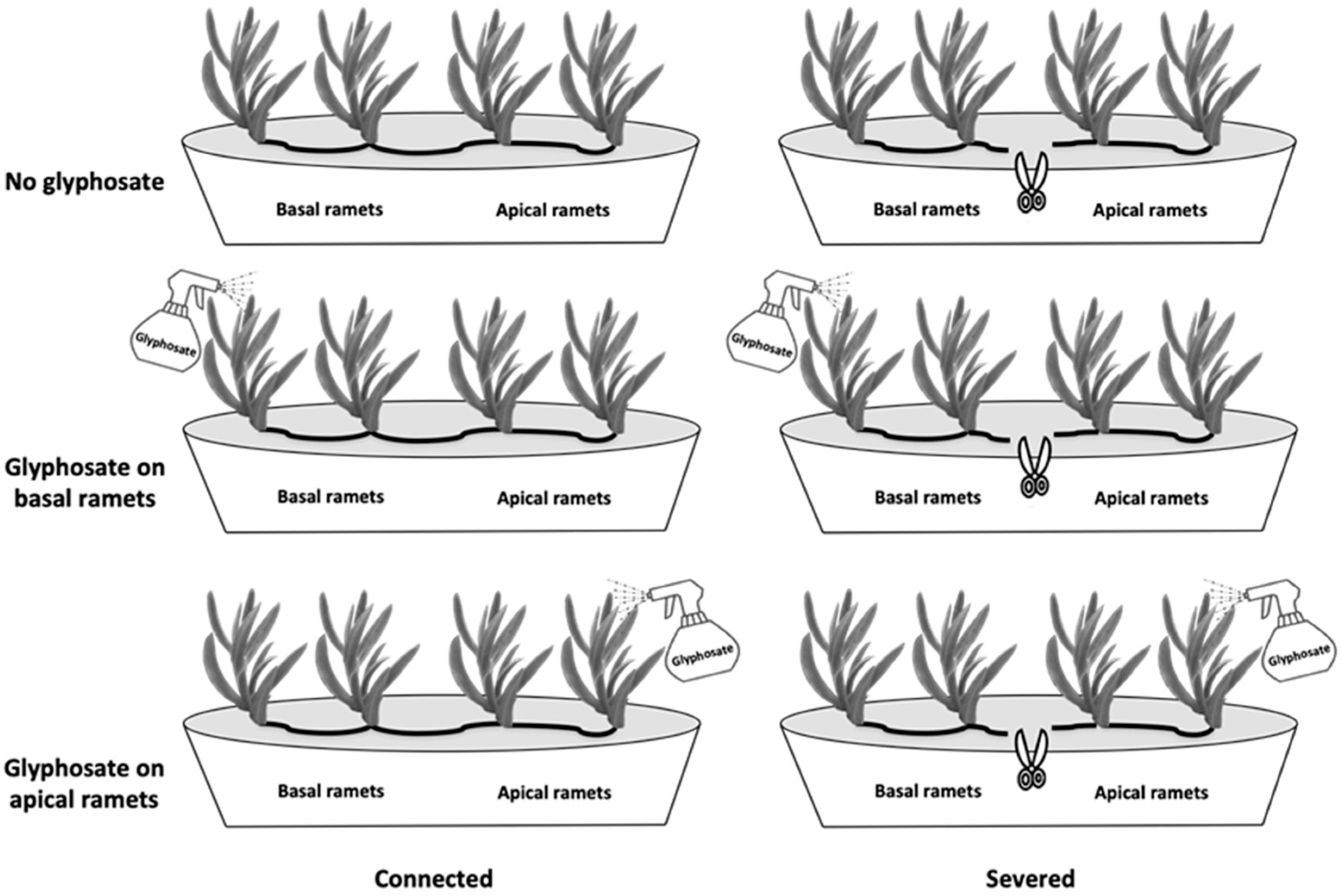 Diversity 14 00047 g001