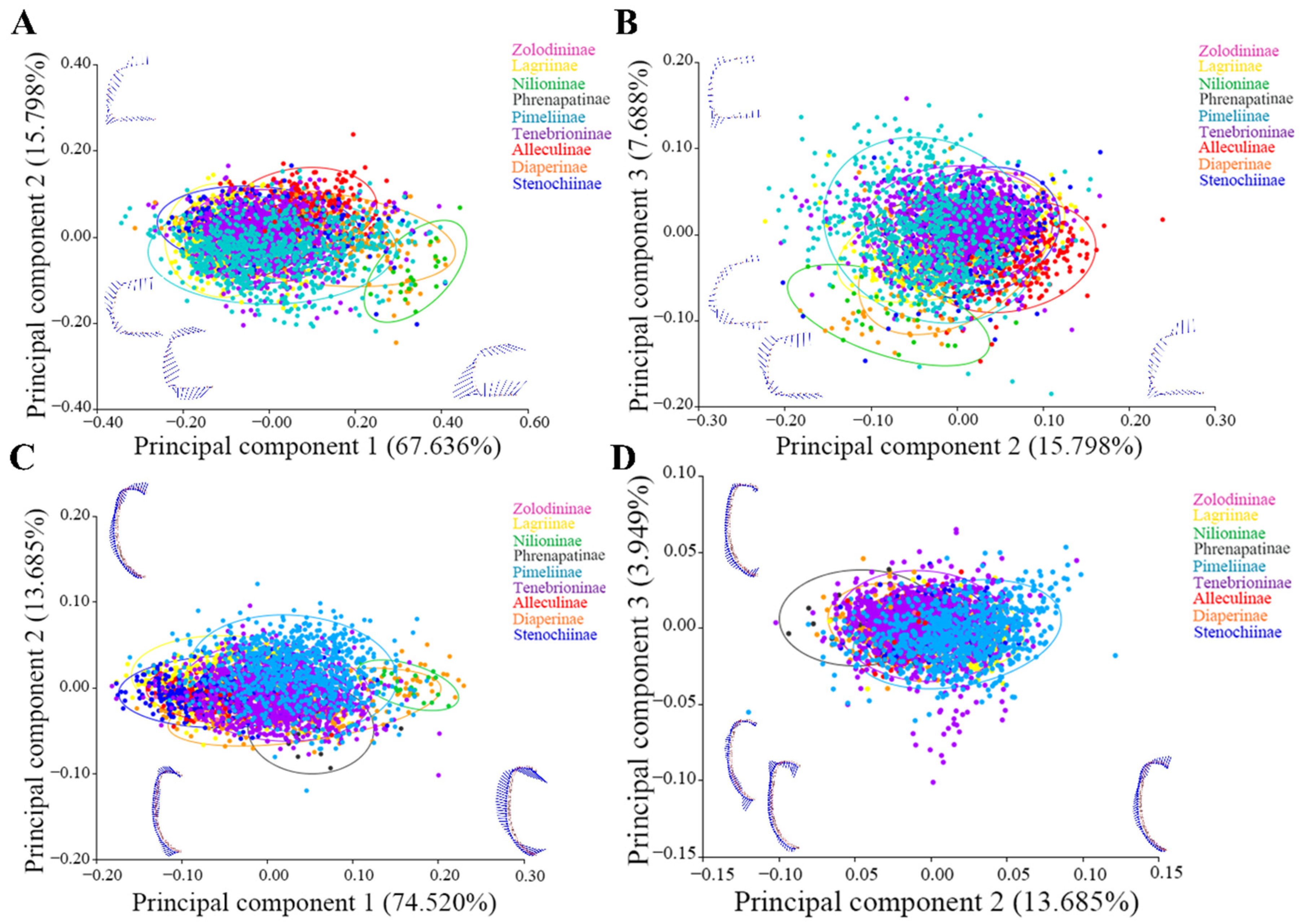 Diversity 14 00060 g002