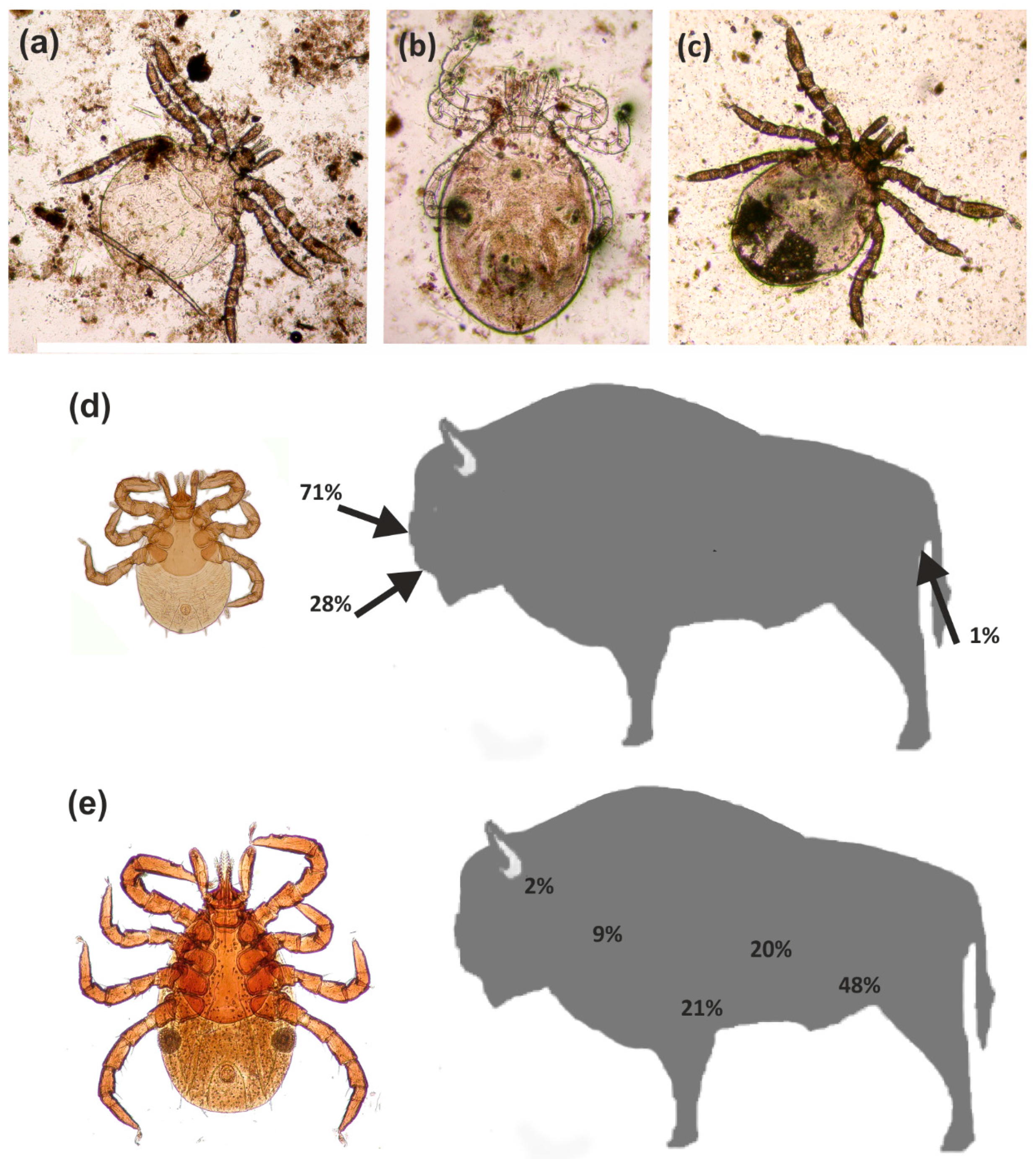 Diversity 14 00075 g004