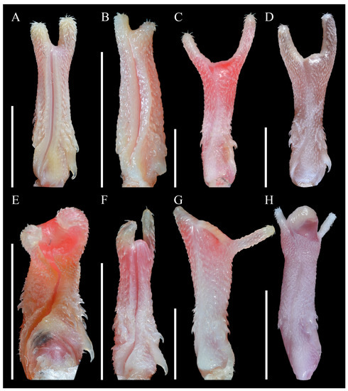 Diversity 14 00079 g0a1 550