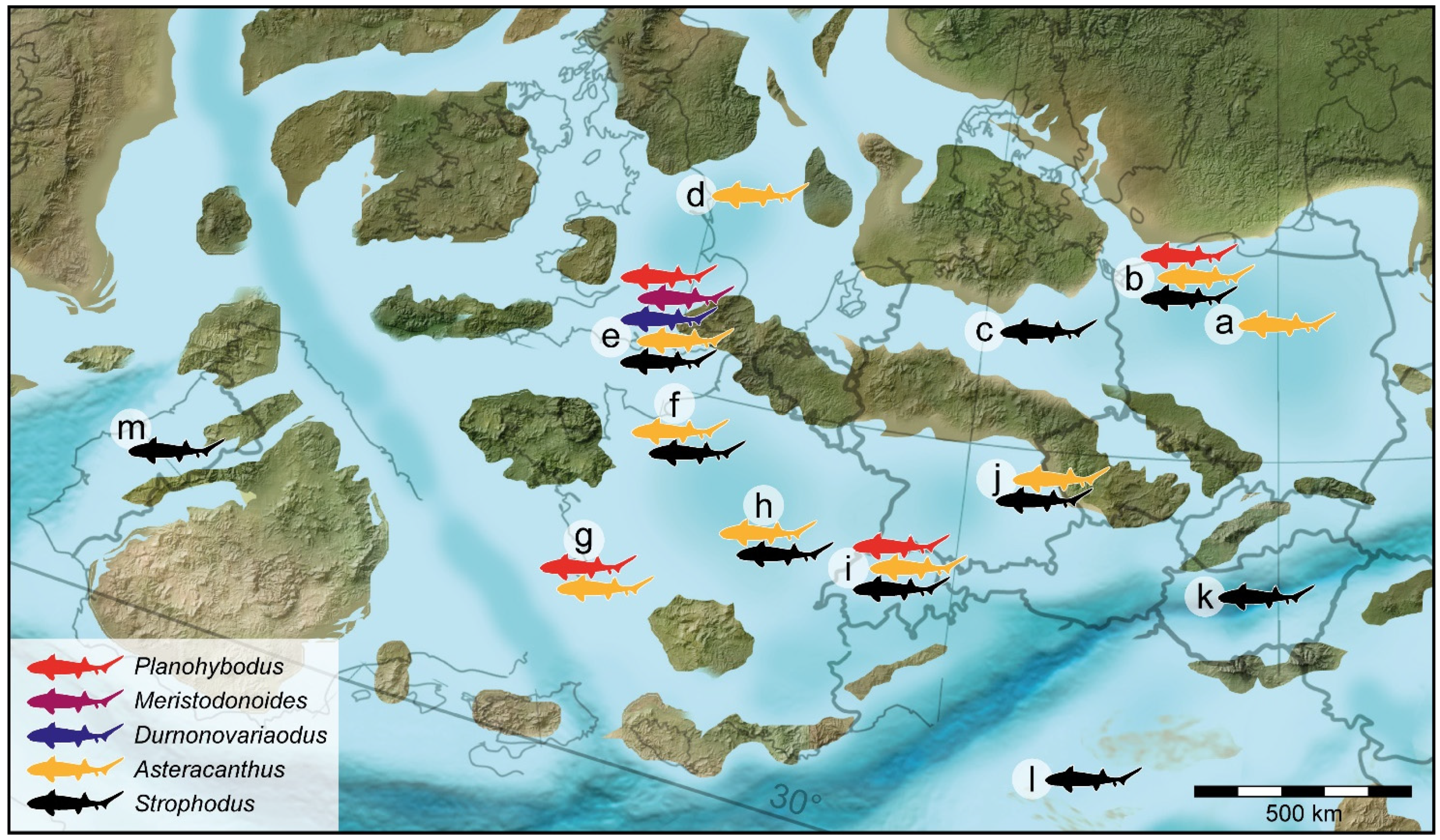 Diversity 14 00085 g006