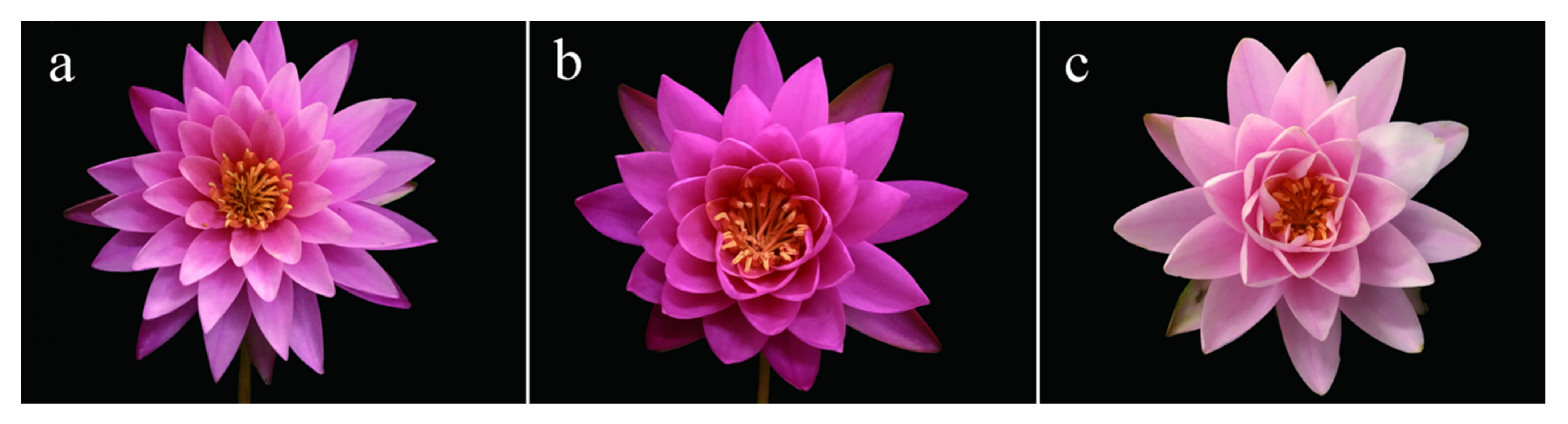 Diversity 14 00092 g001